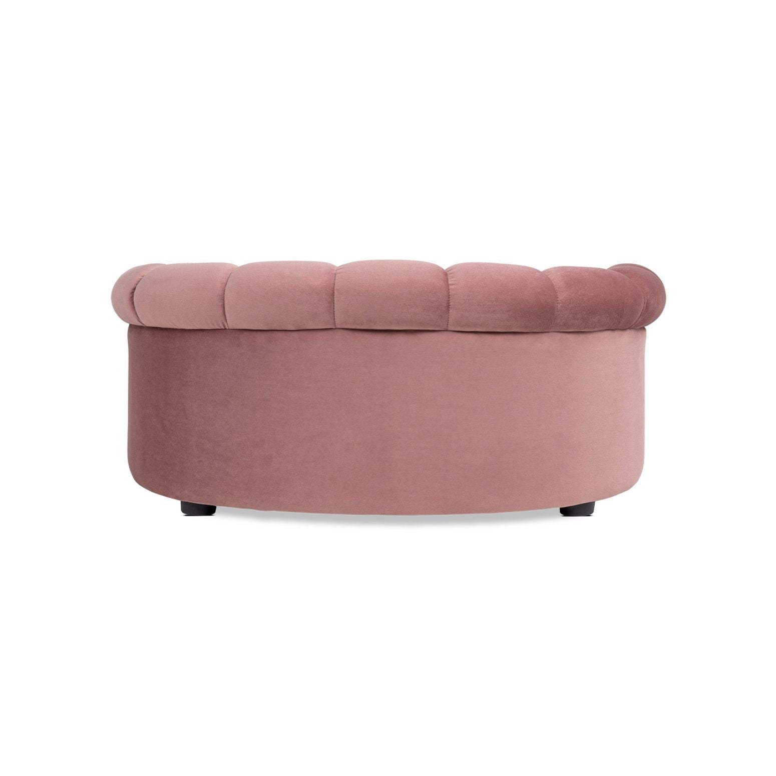 Halle - Rolled Arm Dog Sofa Bed