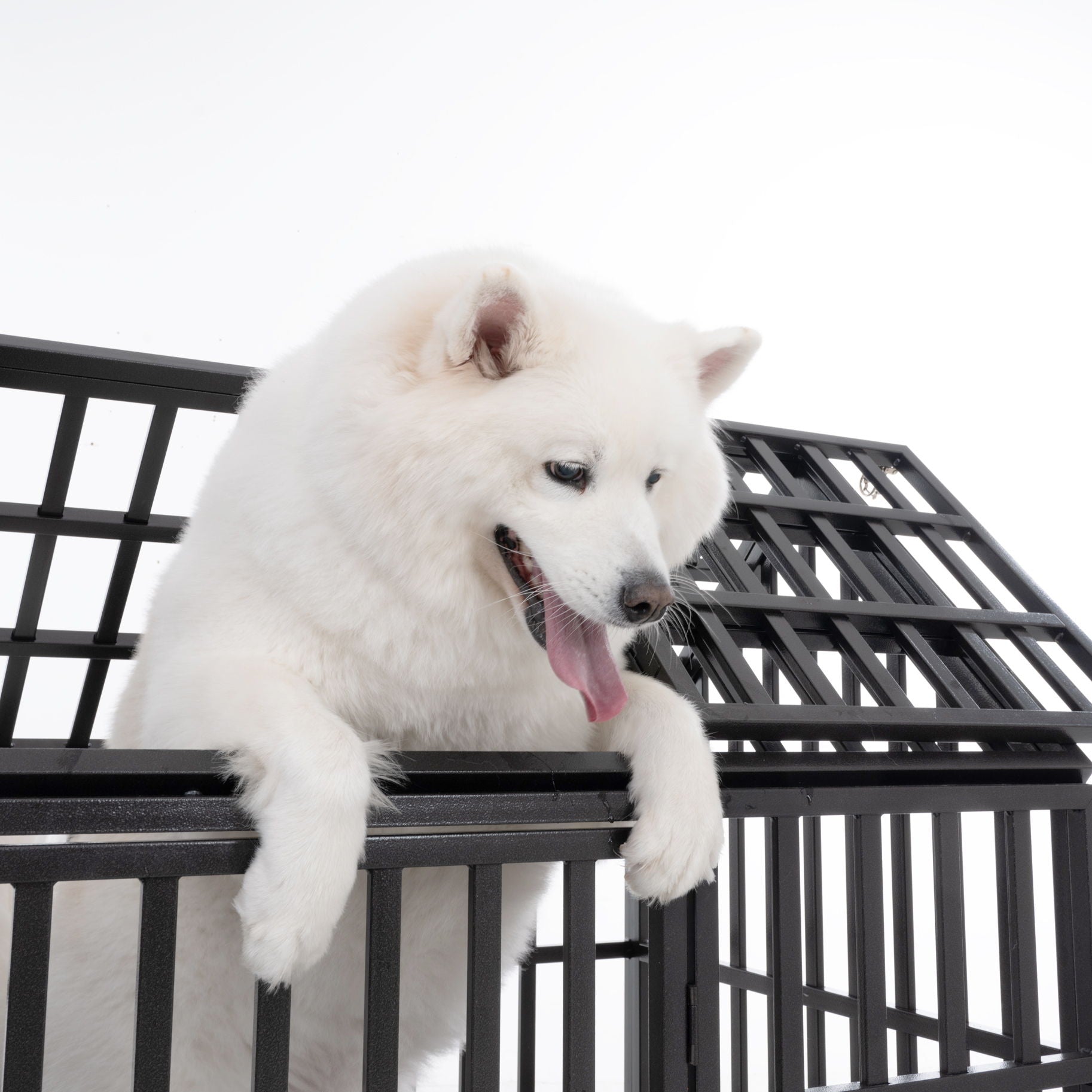 Heavy Duty Dog Crate Lockable Wheels