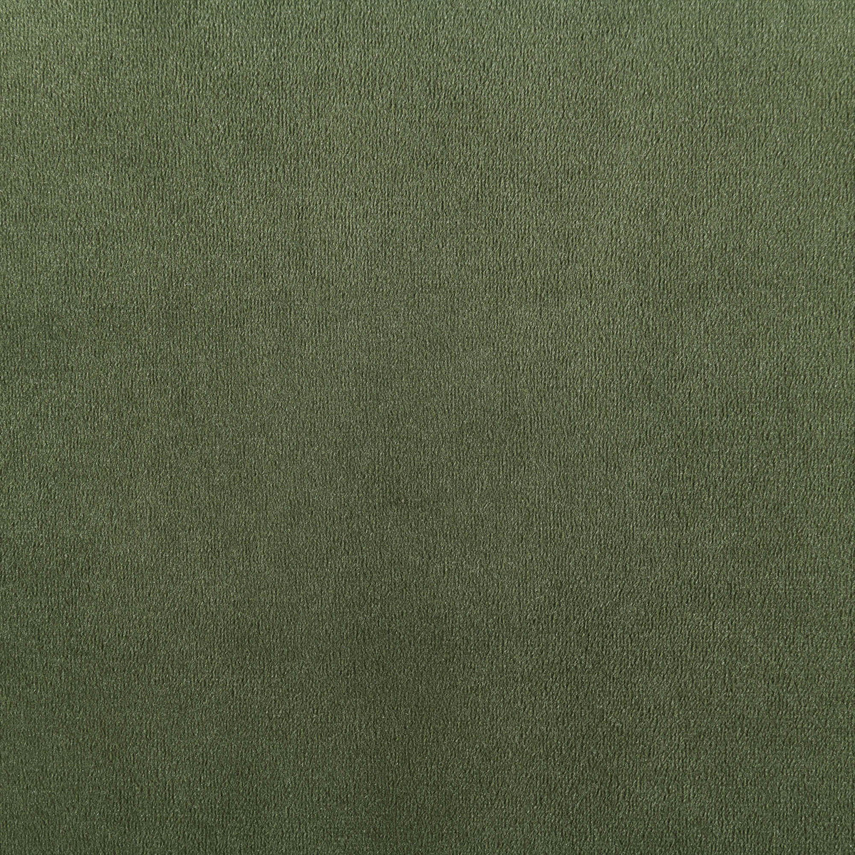 Relax - Velvet 77.75" Upholstered Sofa