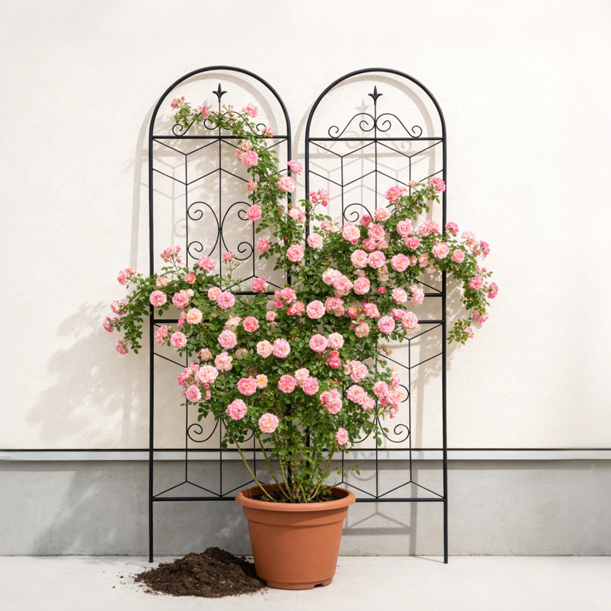 Garden Trellis, Rustproof Support For Climbing Plants