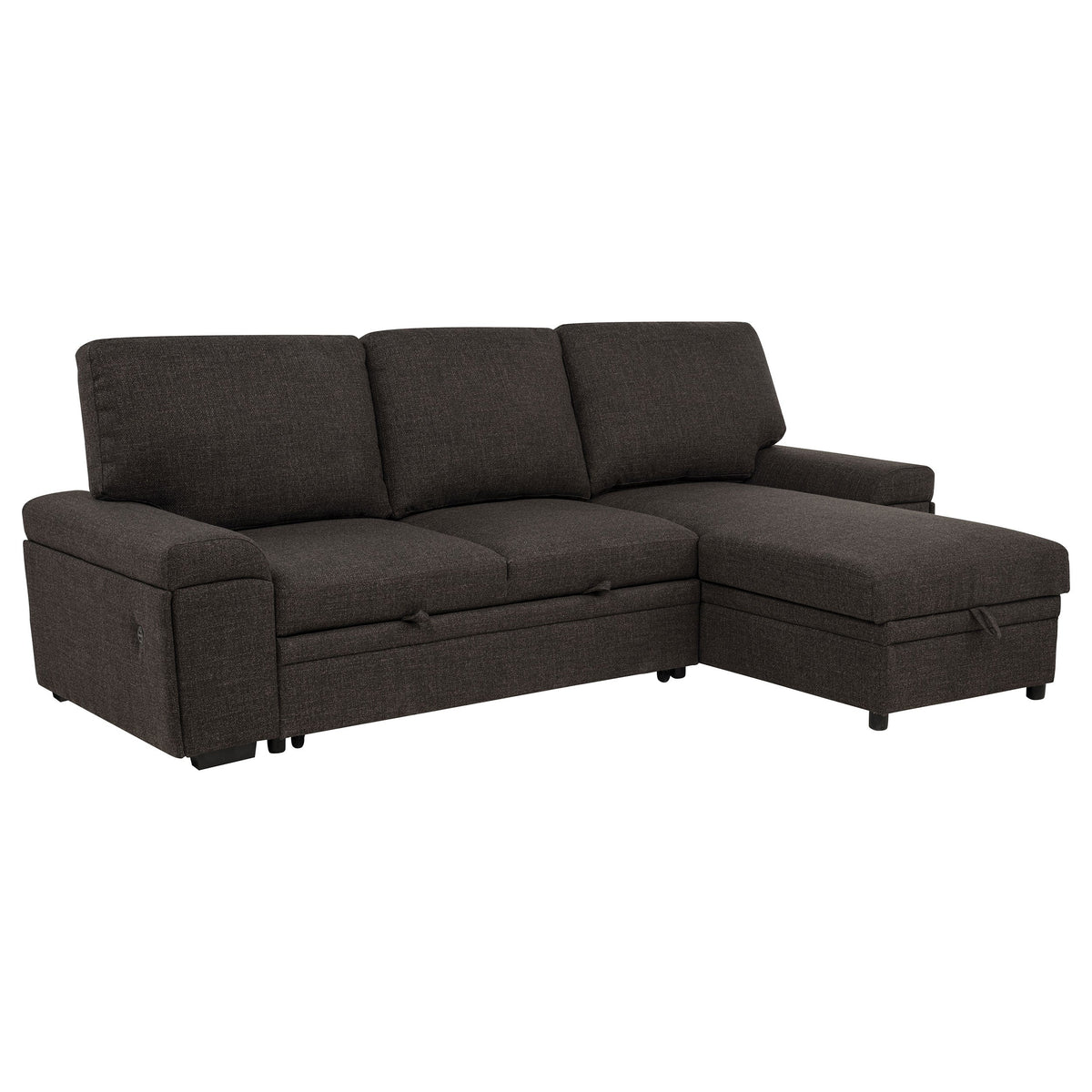 Demko Sleeper Sectional Sofa with Speaker and Storage Chaise Brown