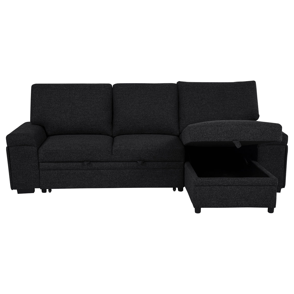 Demko Sleeper Sectional Sofa with Speaker and Storage Chaise Black