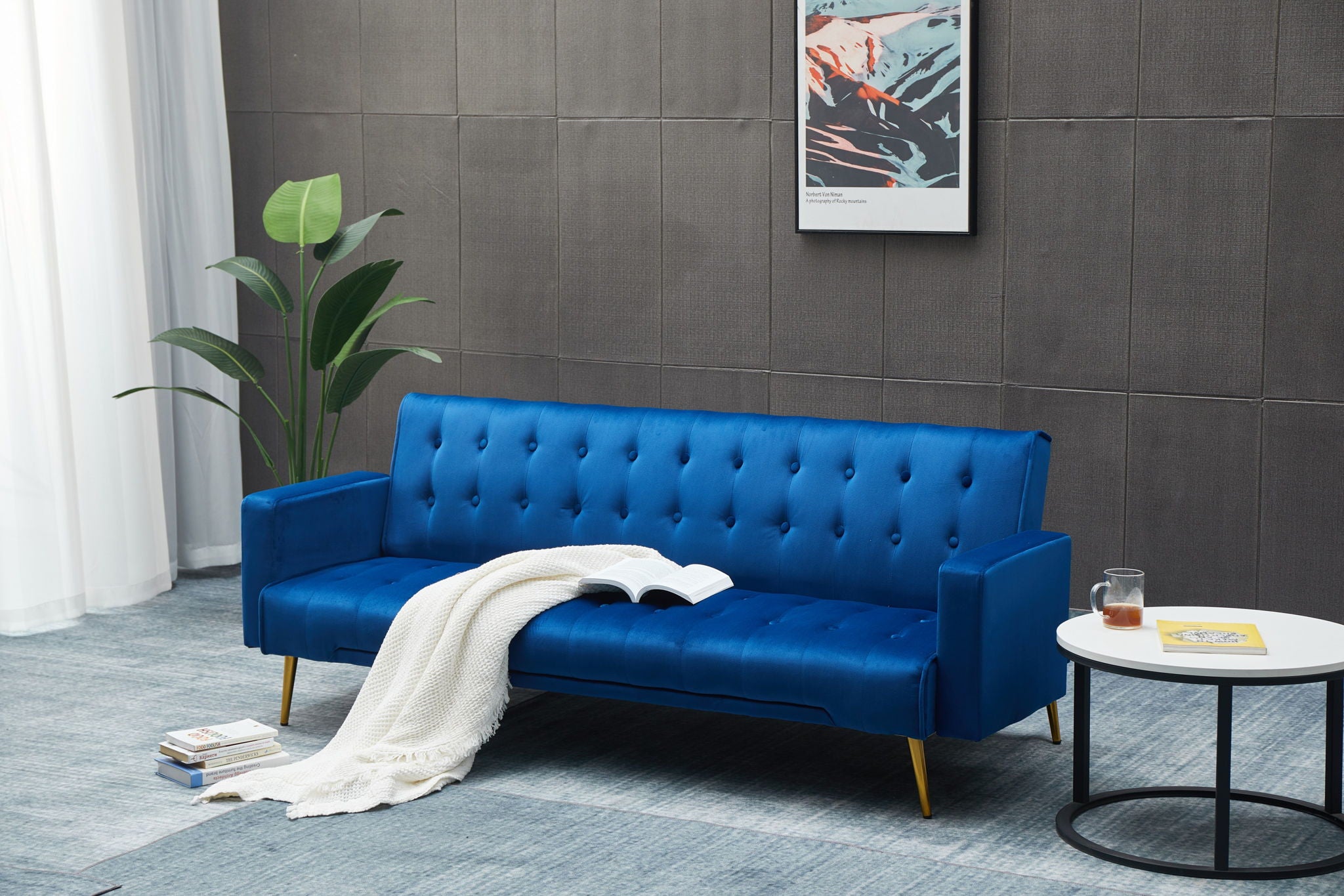 Comfort Compact Design Sofa Bed