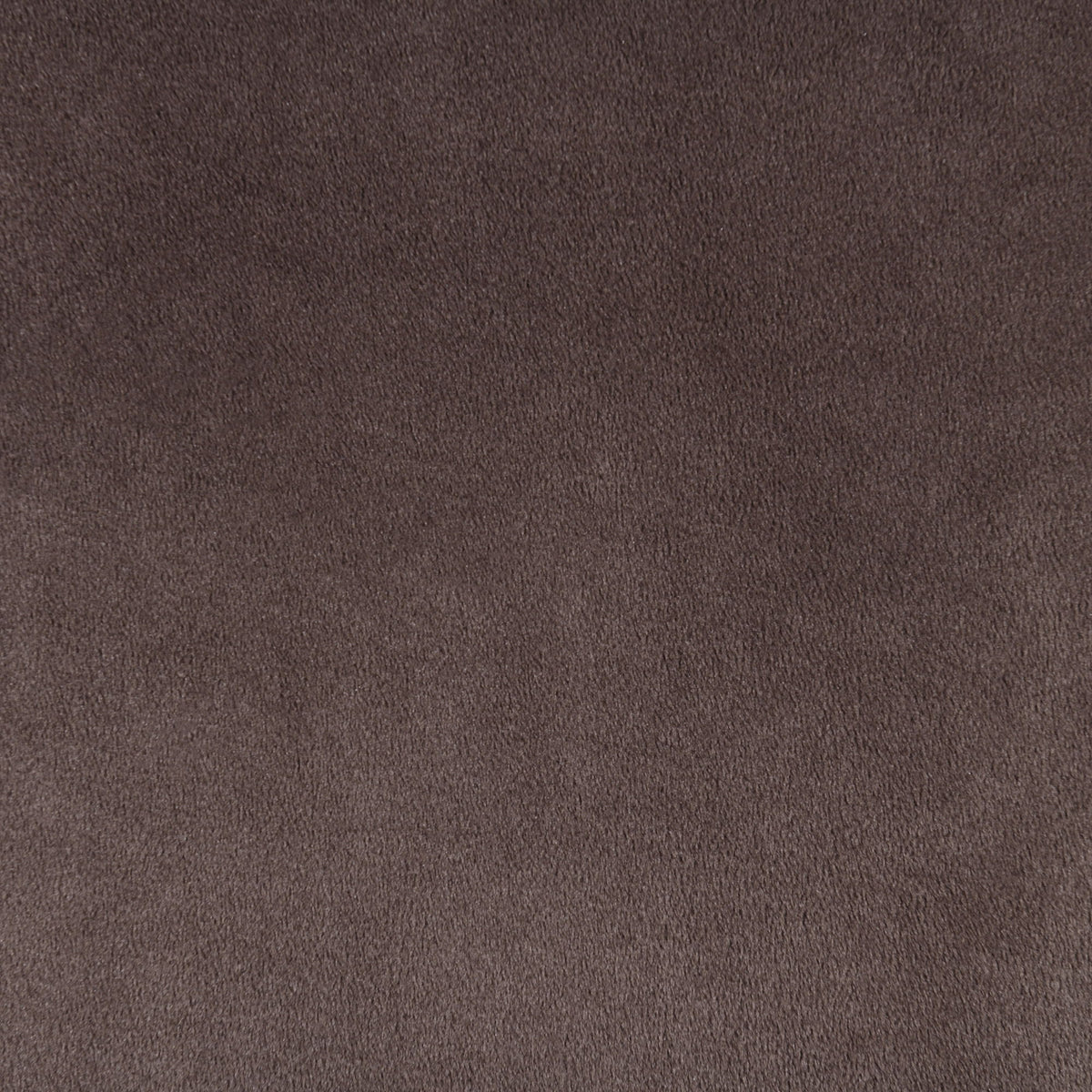 Relax - Velvet 77.75" Upholstered Sofa