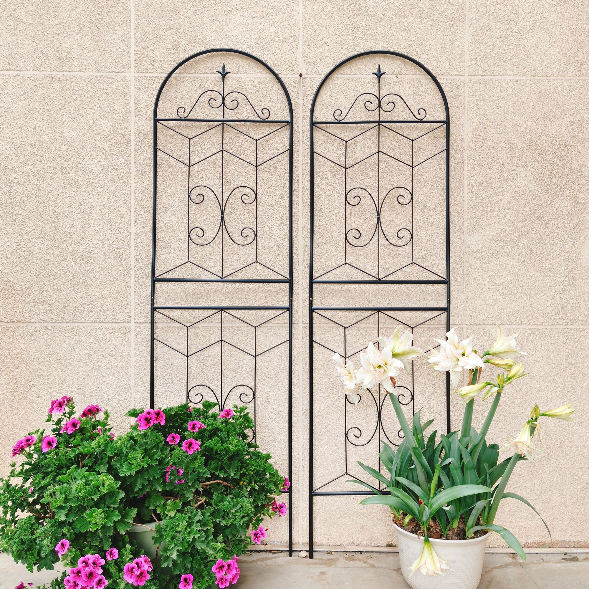 Garden Trellis, Rustproof Support For Climbing Plants