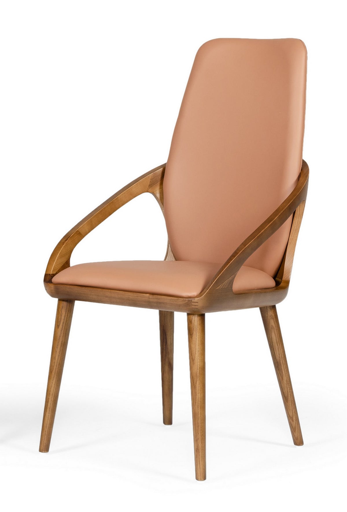 Valier - Modern Dining Chair (Set of 2)