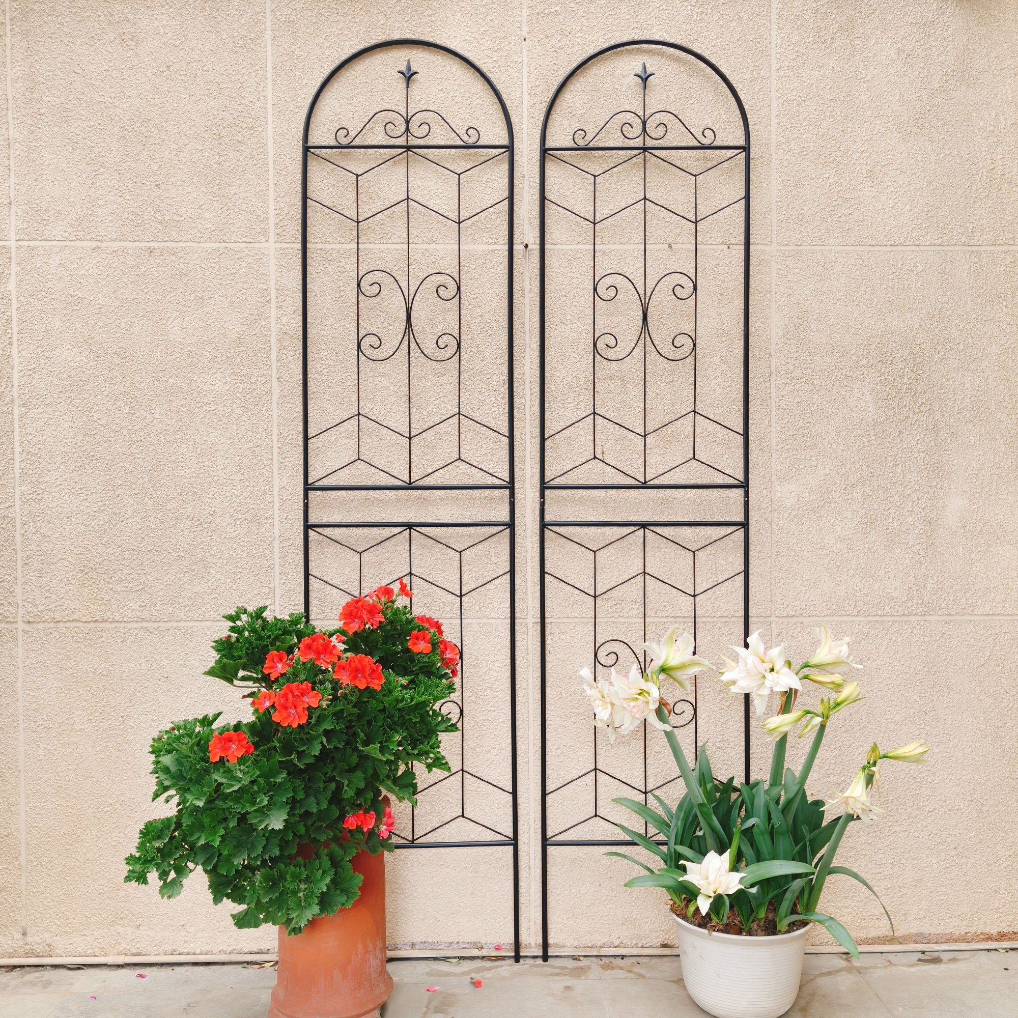 Garden Trellis, Rustproof Support For Climbing Plants