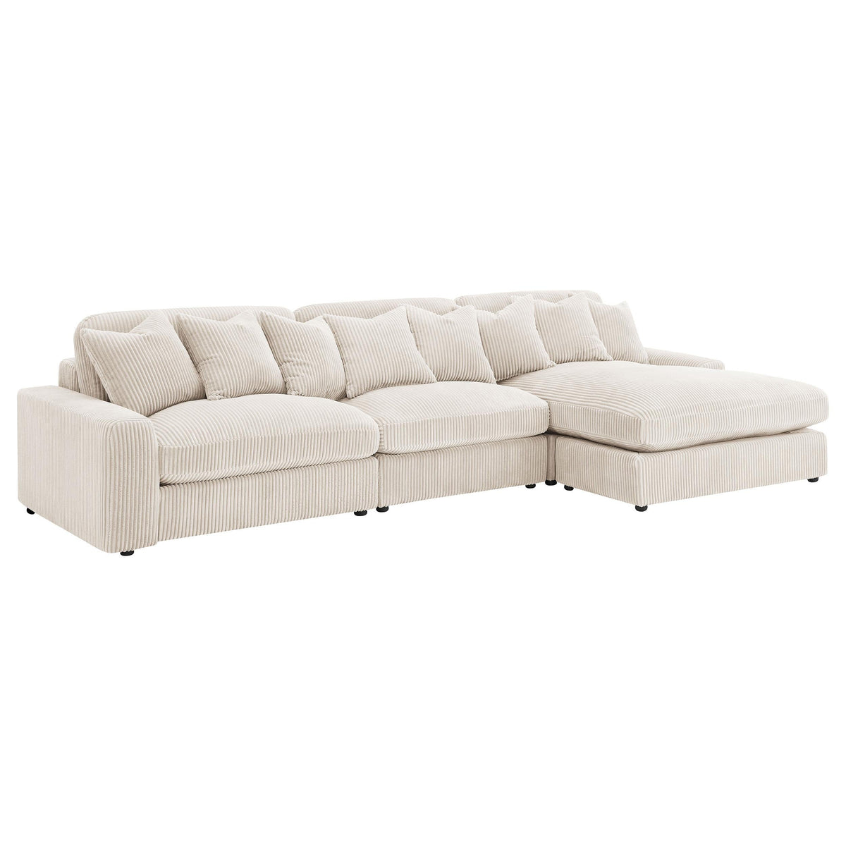 Blaine Fabric Sectional 509899-SET