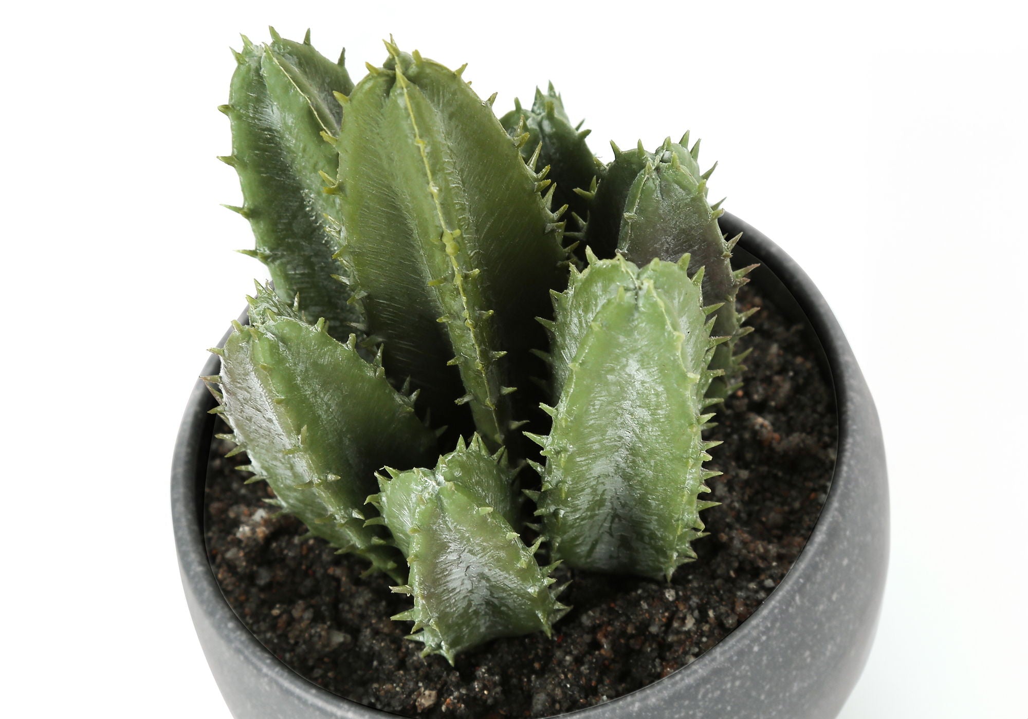 Artificial Succulent Plants (Set of 3)
