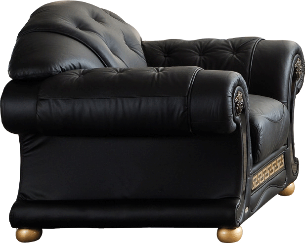 Apolo Black Italian Leather Chair