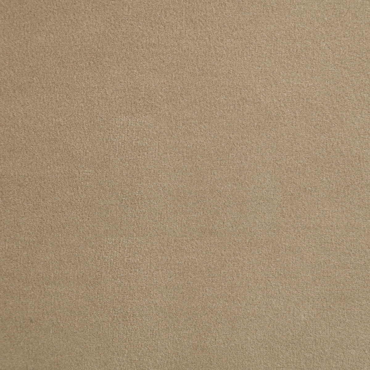 Sable - 52" Velvet Performance Fabric Upholstered Bench