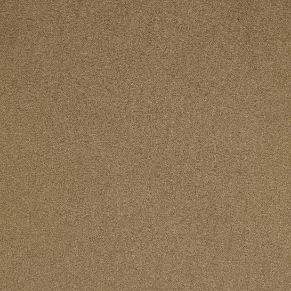 Austin - Velvet Sofa