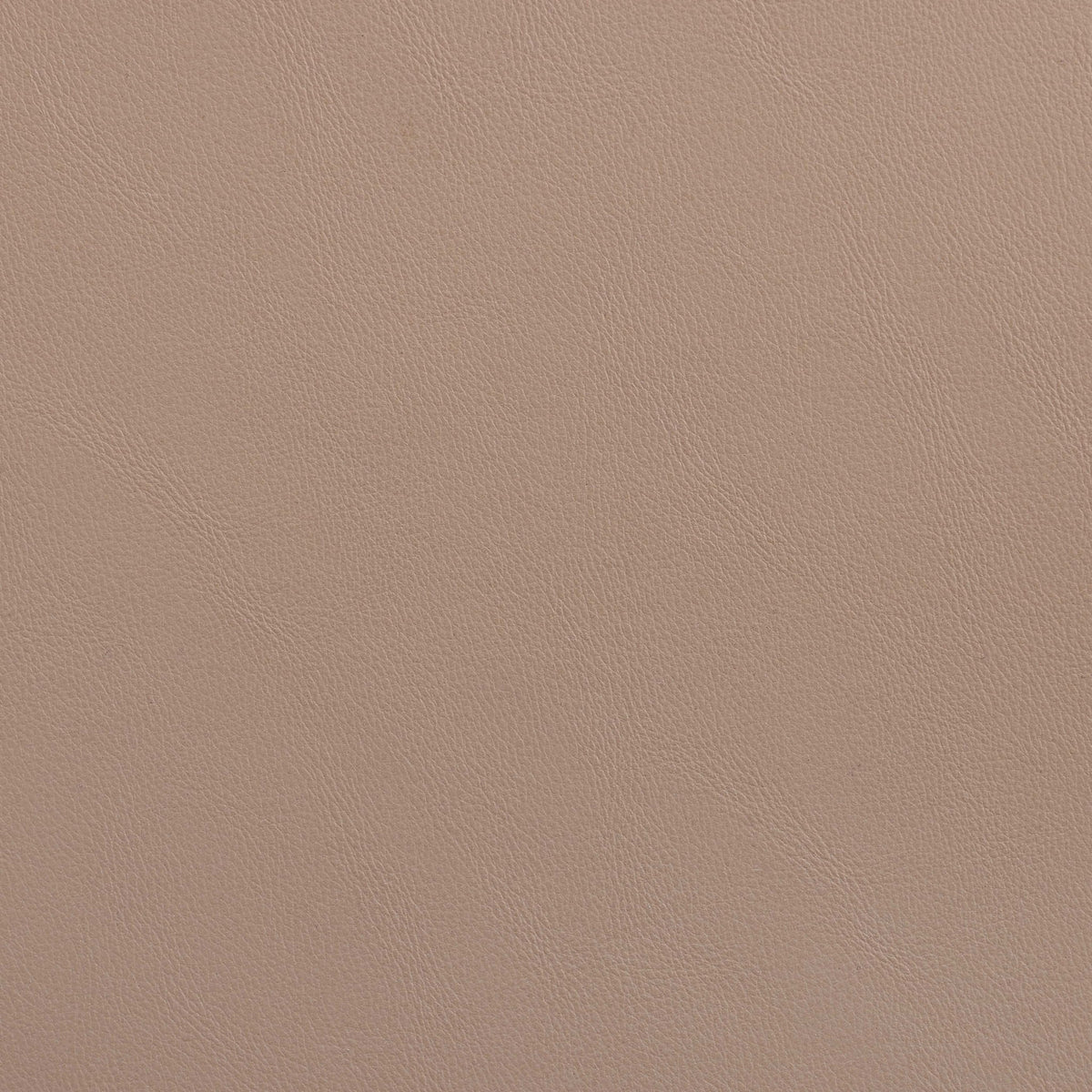 Vanda - Vegan Leather Upholstered Dining Chair - Tan