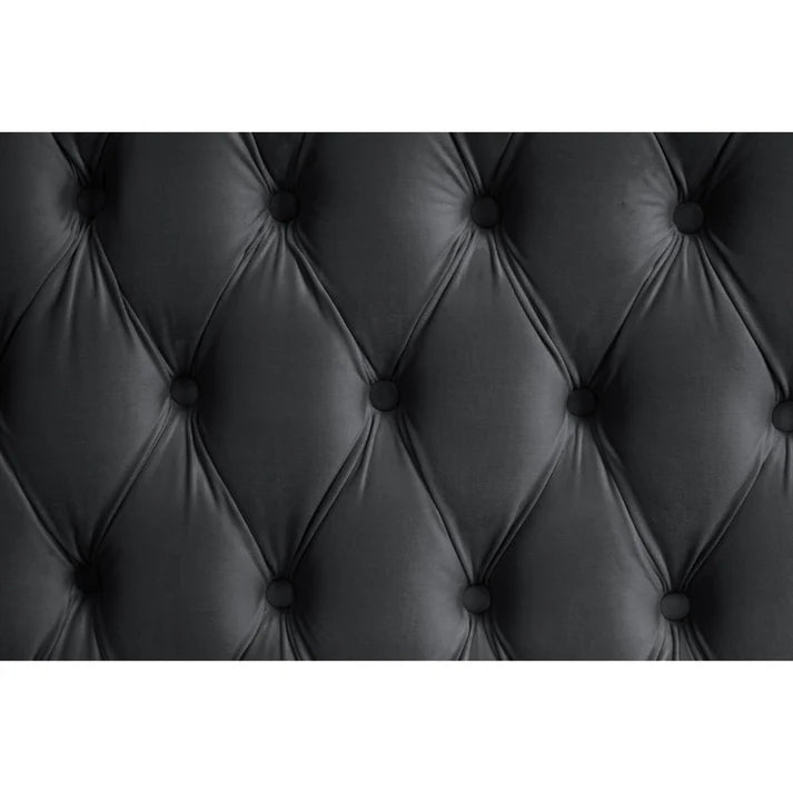 B8010 Royal (Black)