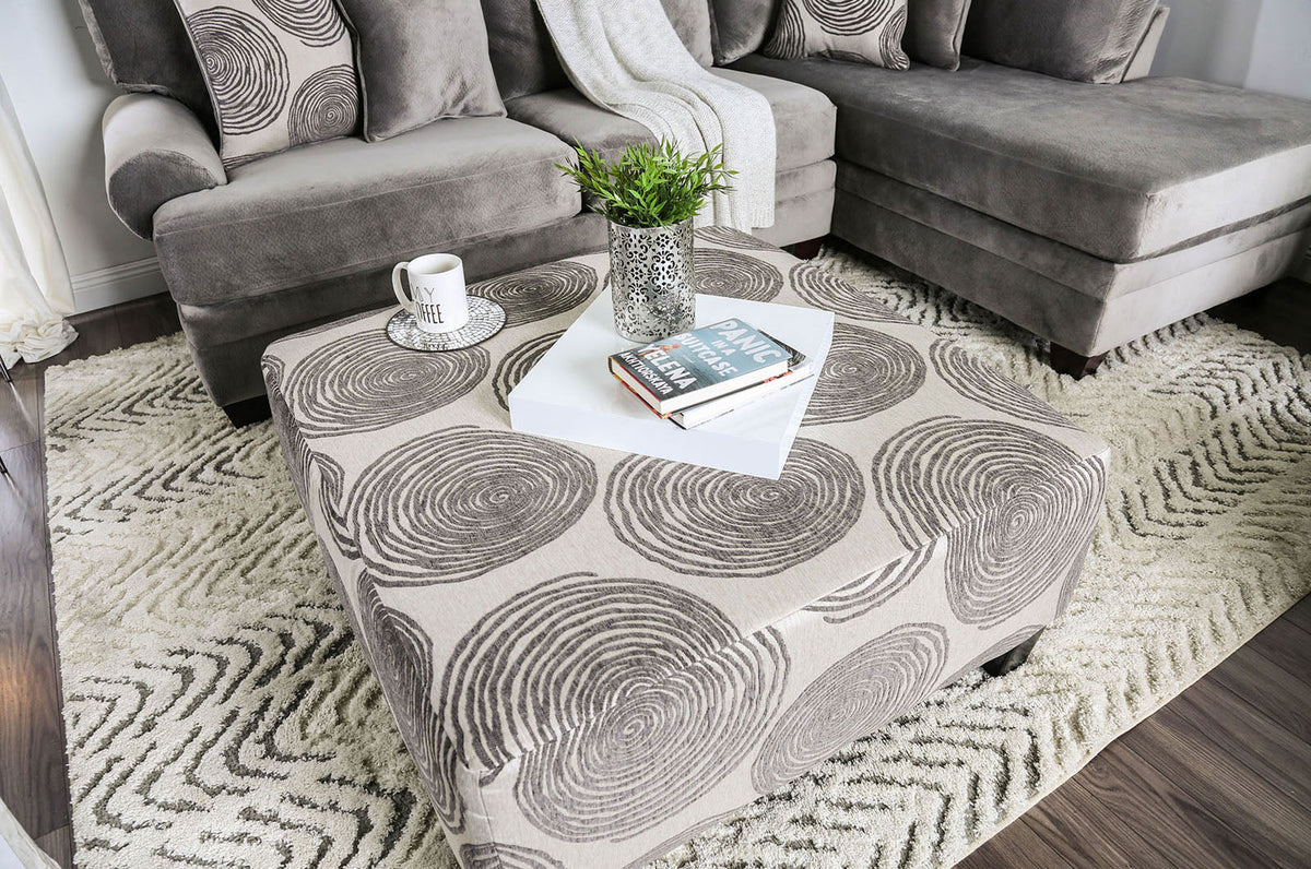 Bonaventura Gray/Pattern Transitional Living Room Set