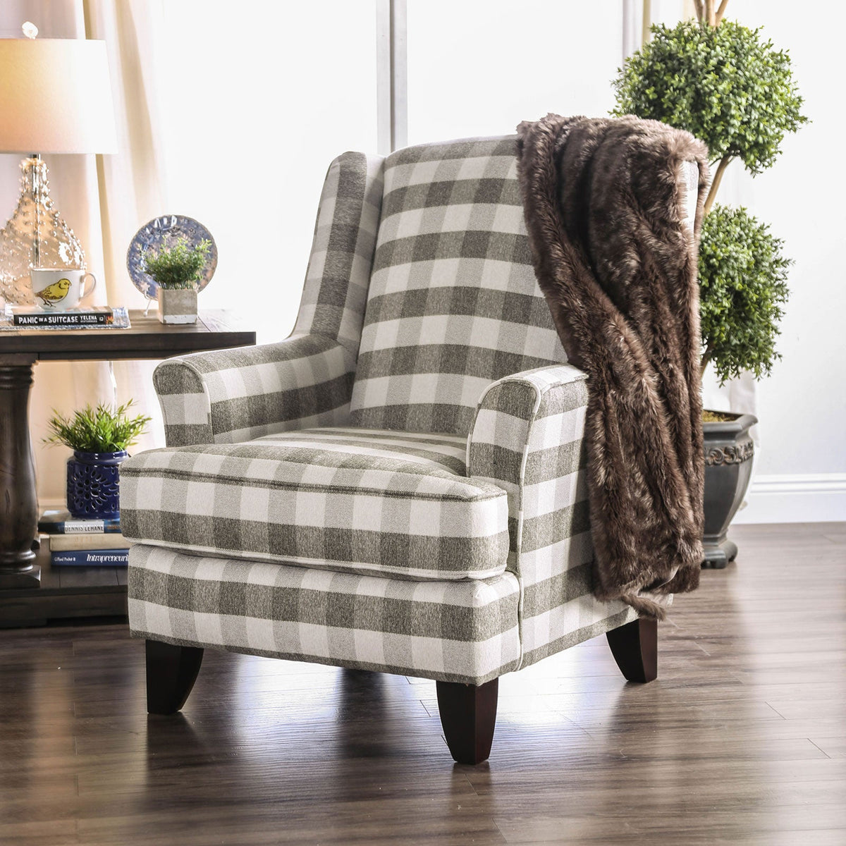 Christine Light Gray Transitional Living Room Set