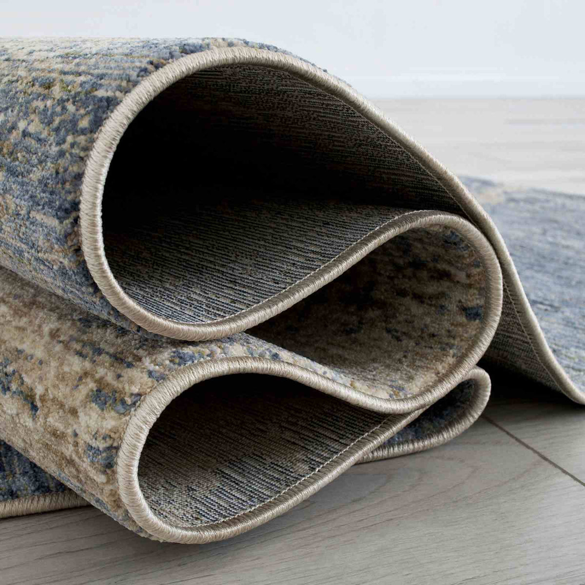 Payas Blue/Multi Area Rug