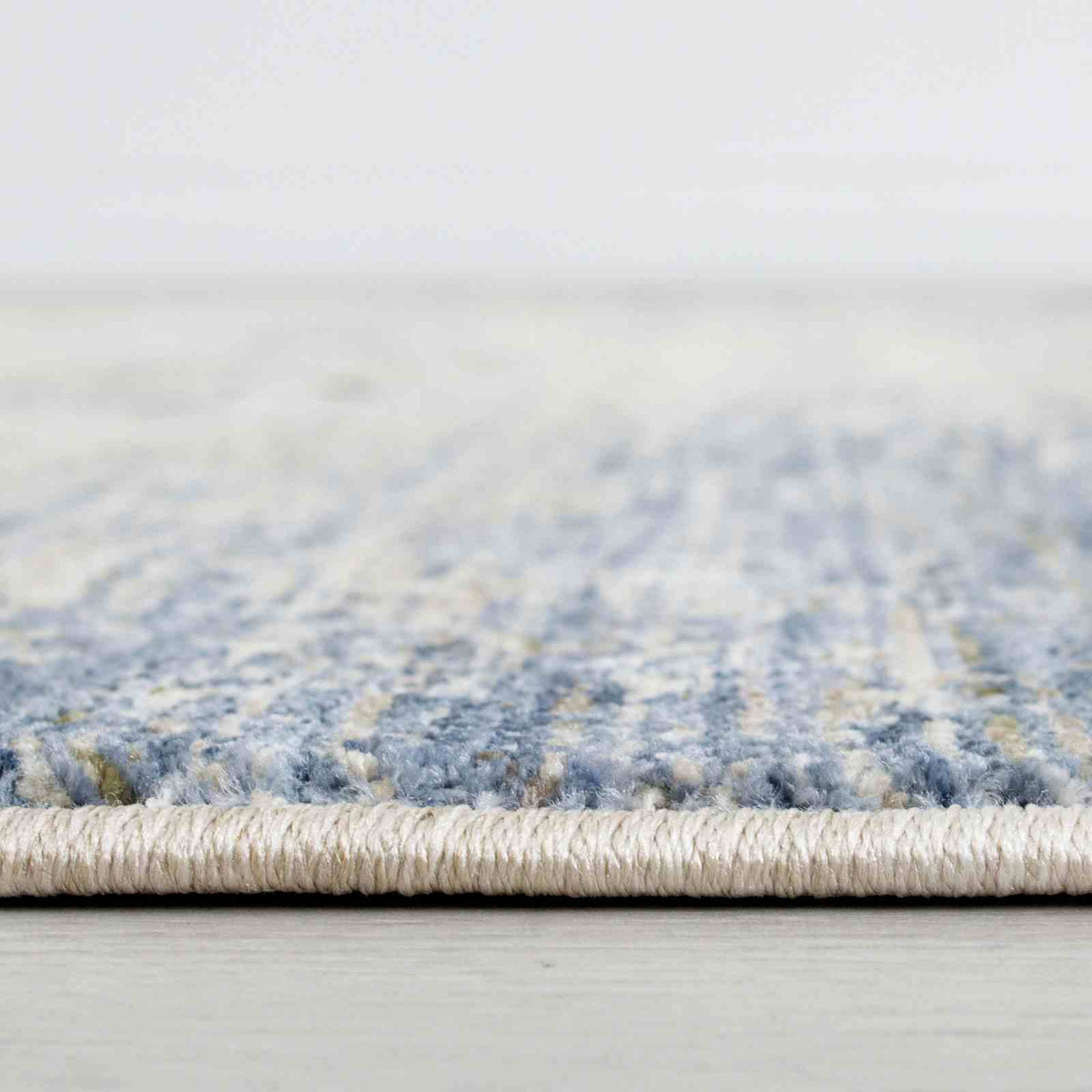 Payas Blue/Multi Area Rug