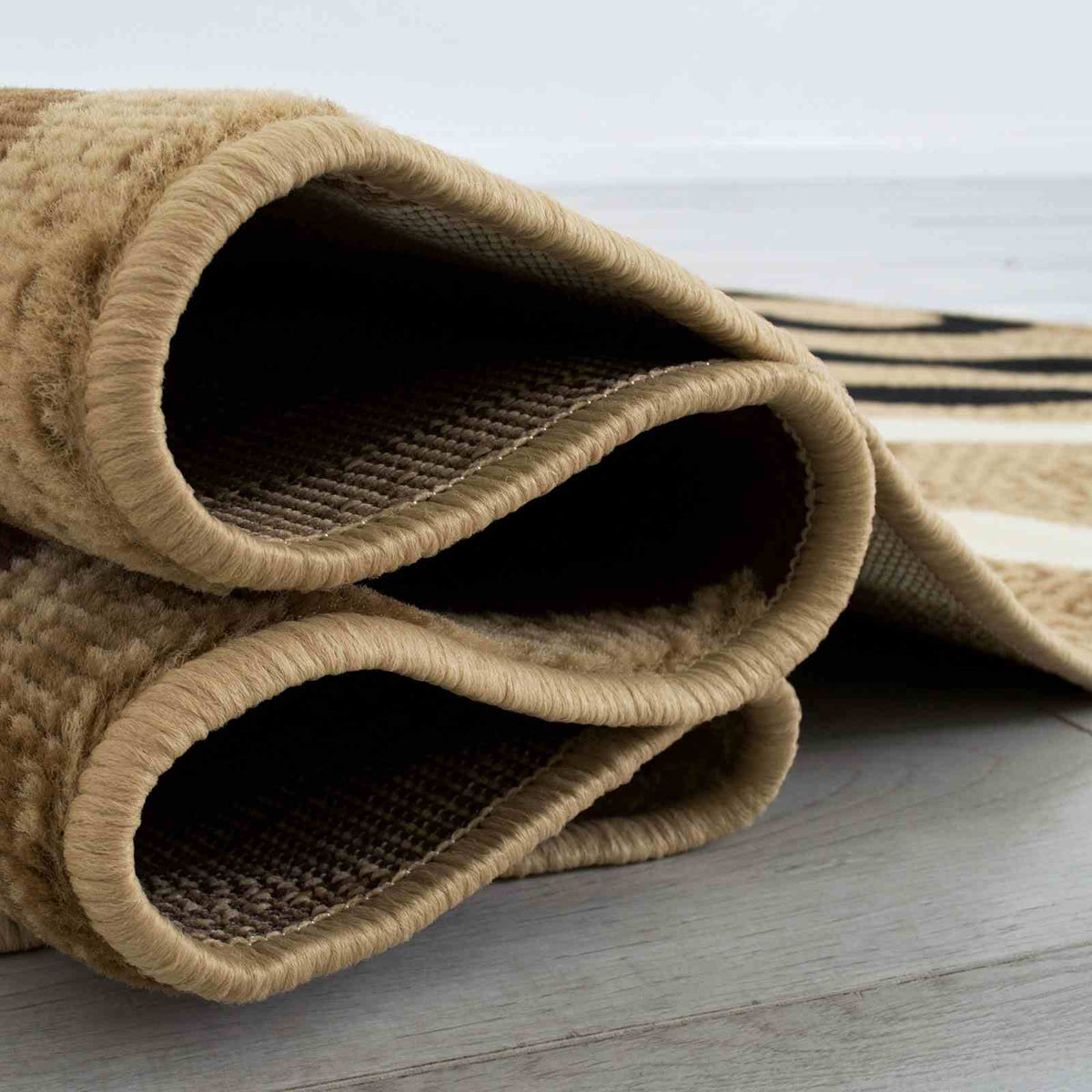 Blitar Brown Area Rug