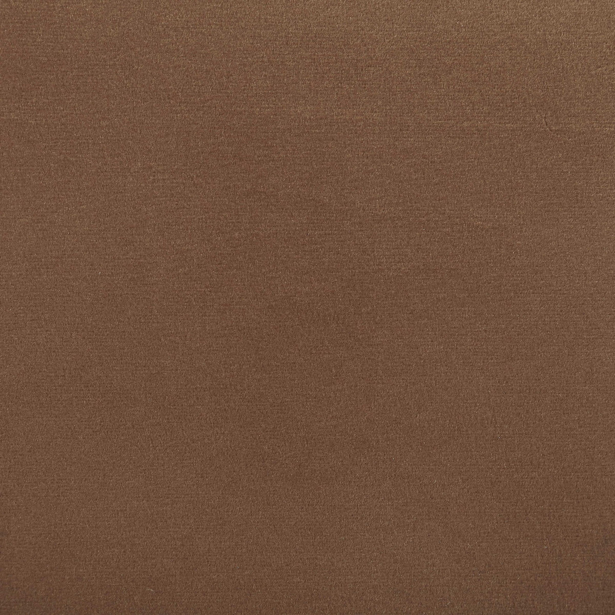 Velora - Upholstered Dining Chair (Set of 2) - Brown Base