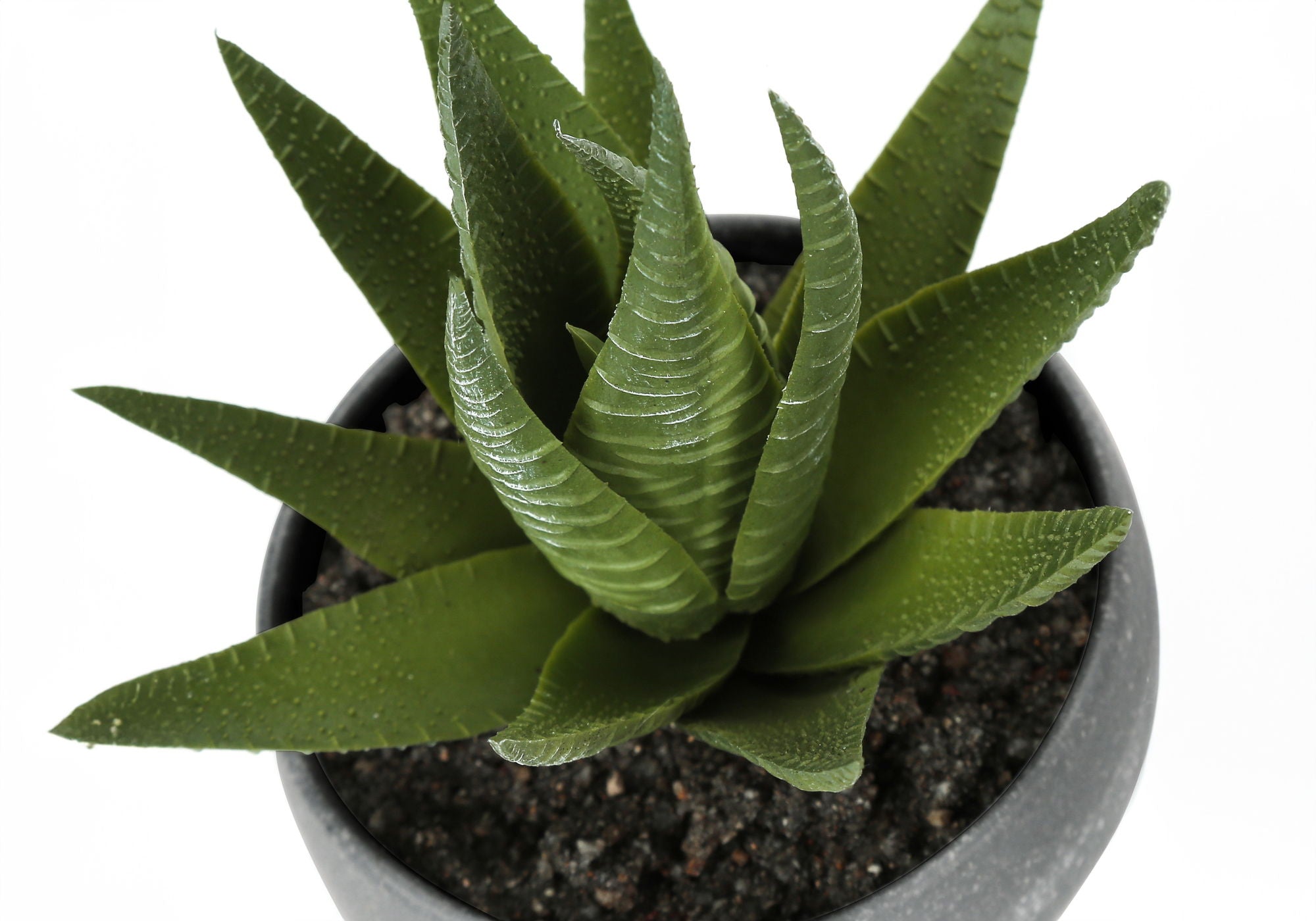 Artificial Succulent Plants (Set of 3)