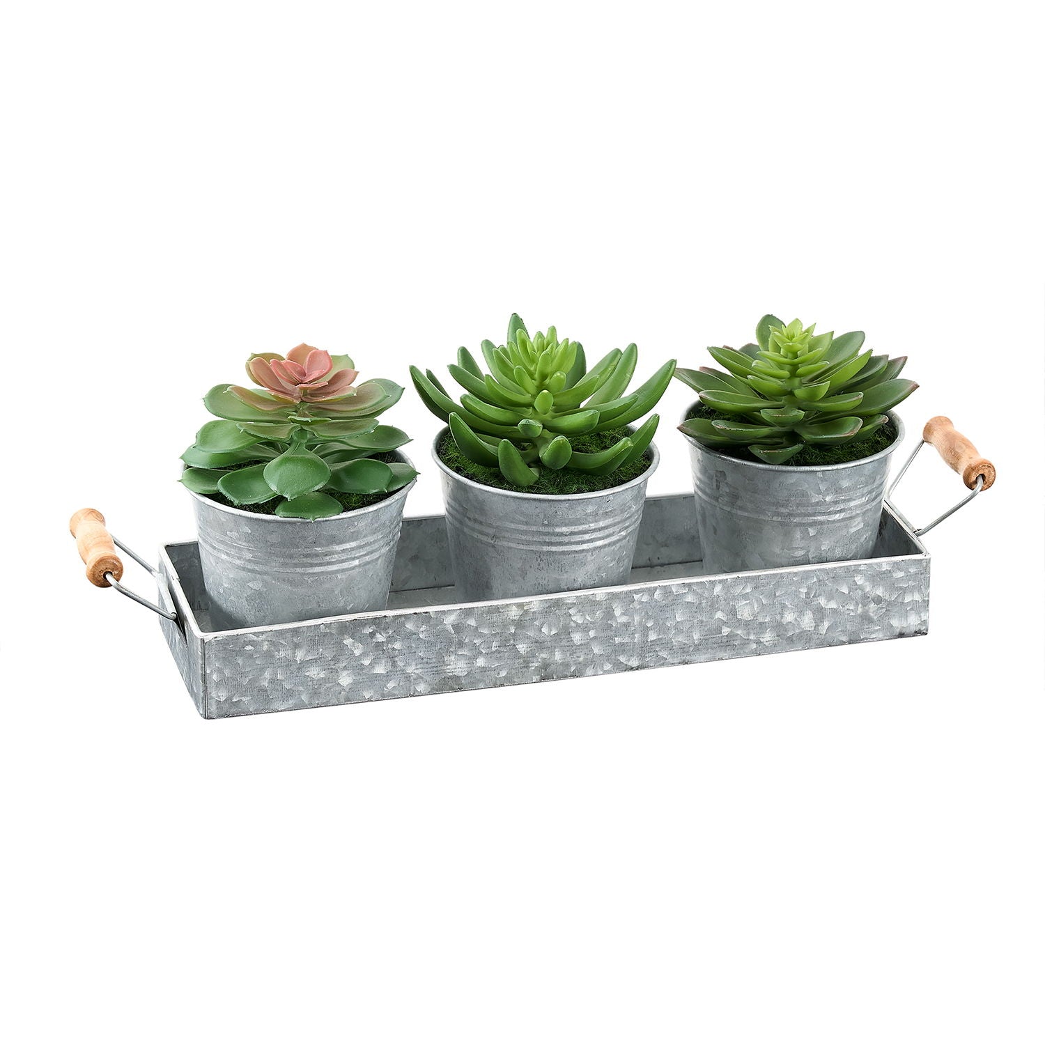 Artificial Succulent, Table Decor (Set of 3) - Green