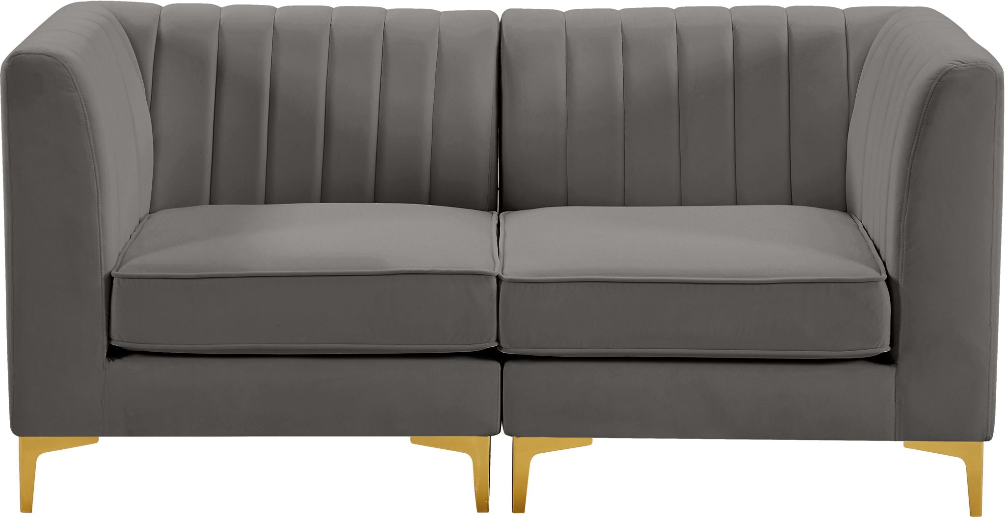 Alina - 2 Piece Modular Sectional