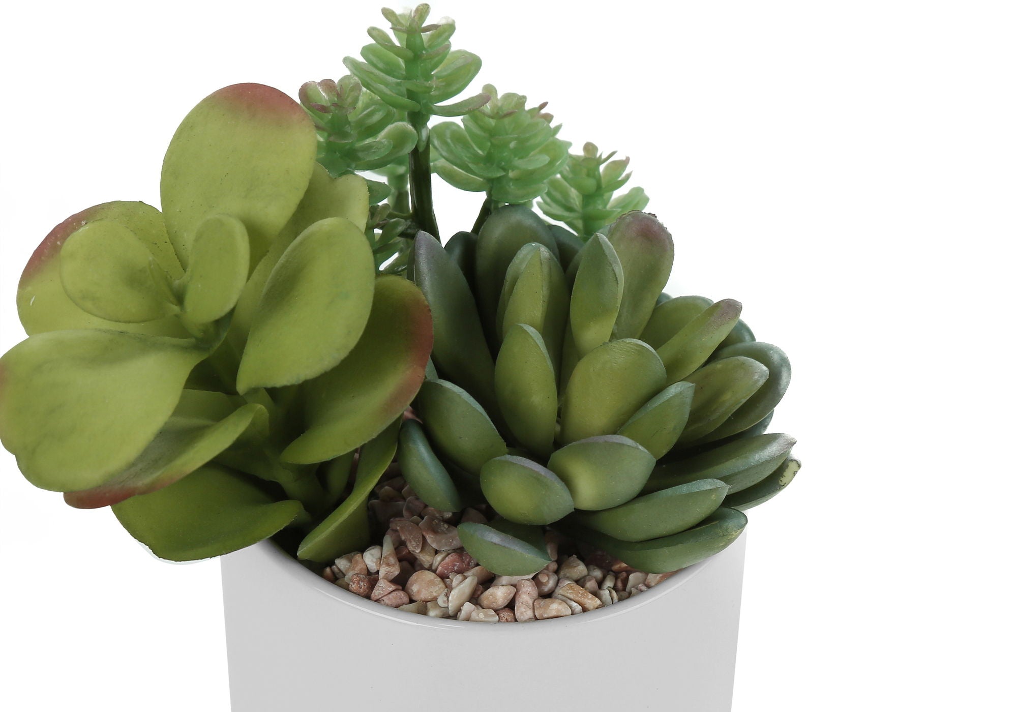 Artificial Succulent Plants (Set of 2)