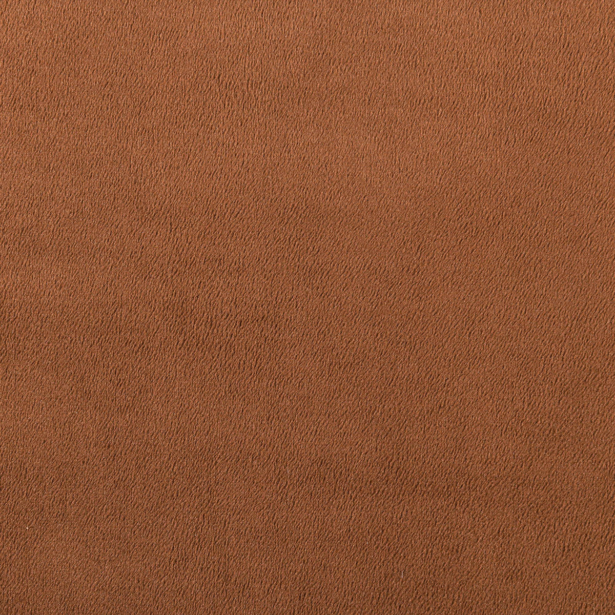 Relax - Velvet 54.75" Upholstered Loveseat