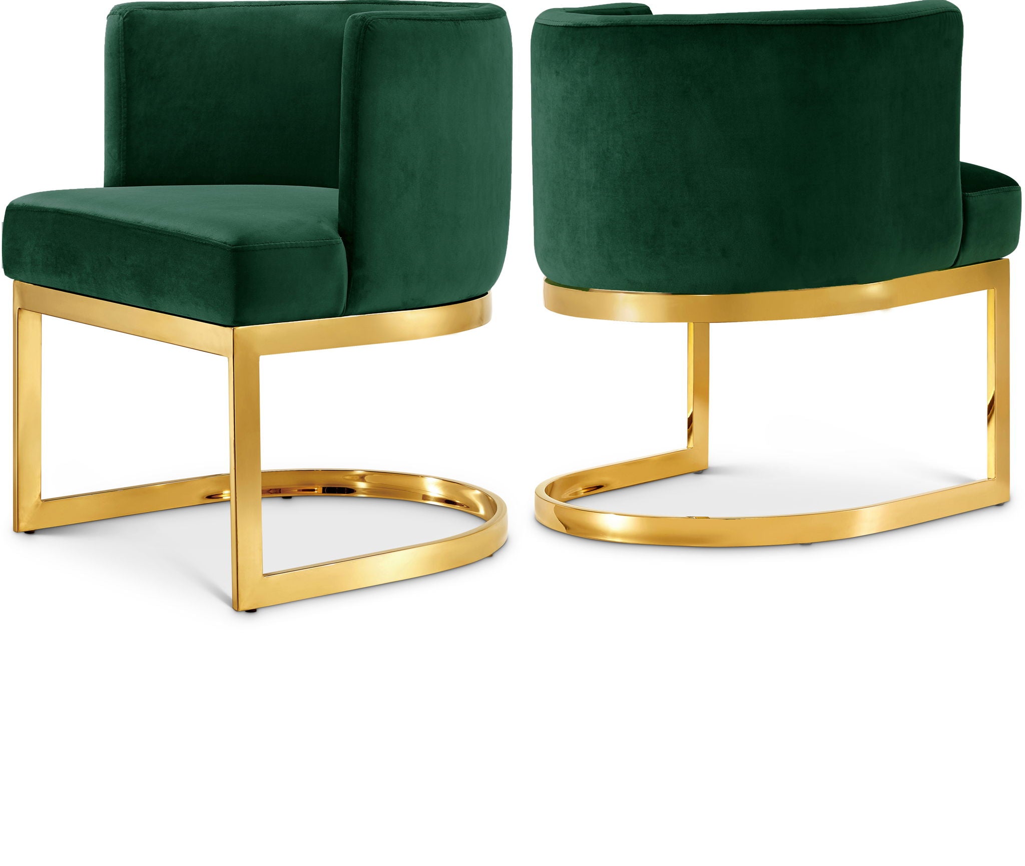 Gianna - Dining Arm Chair