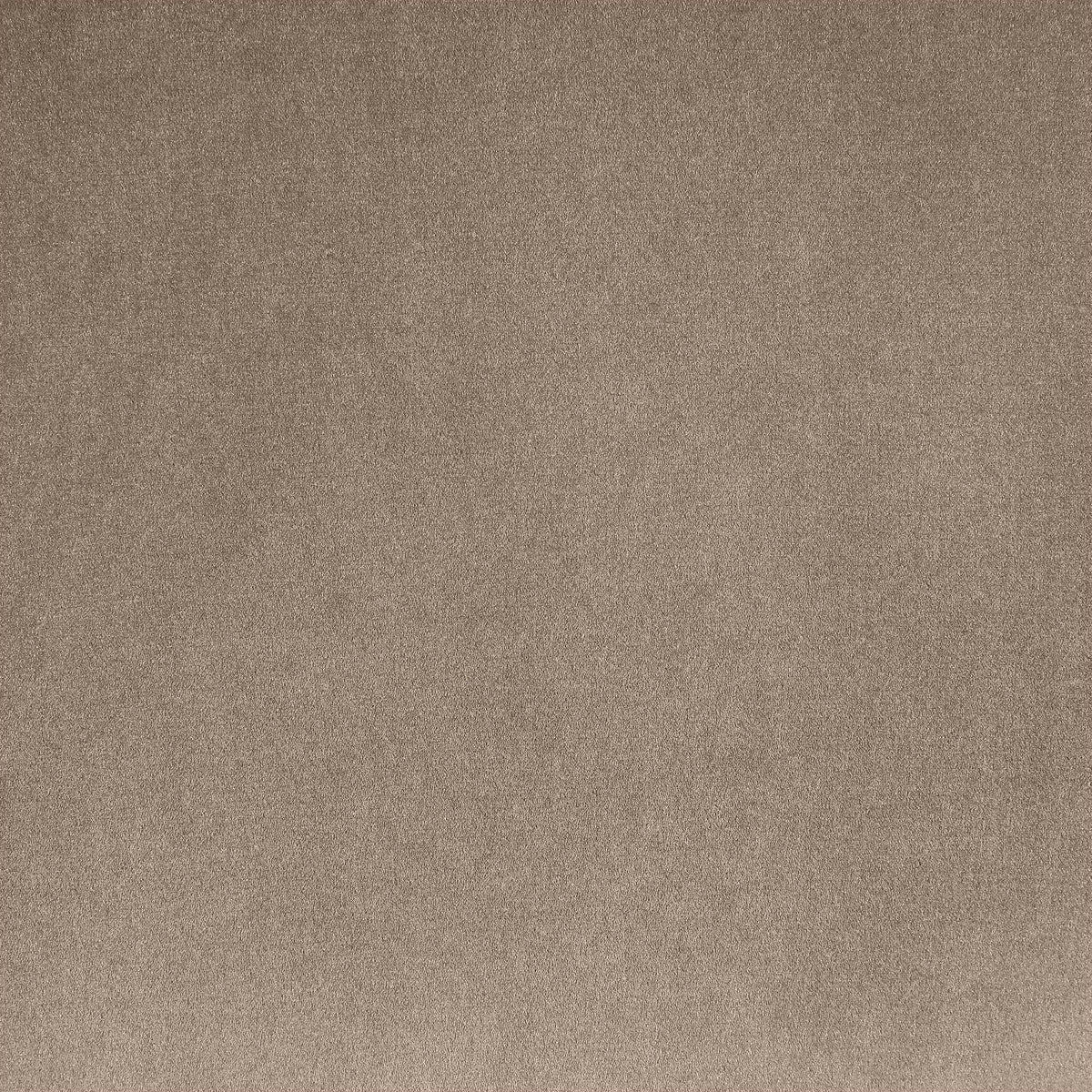Alder - Velvet Sofa