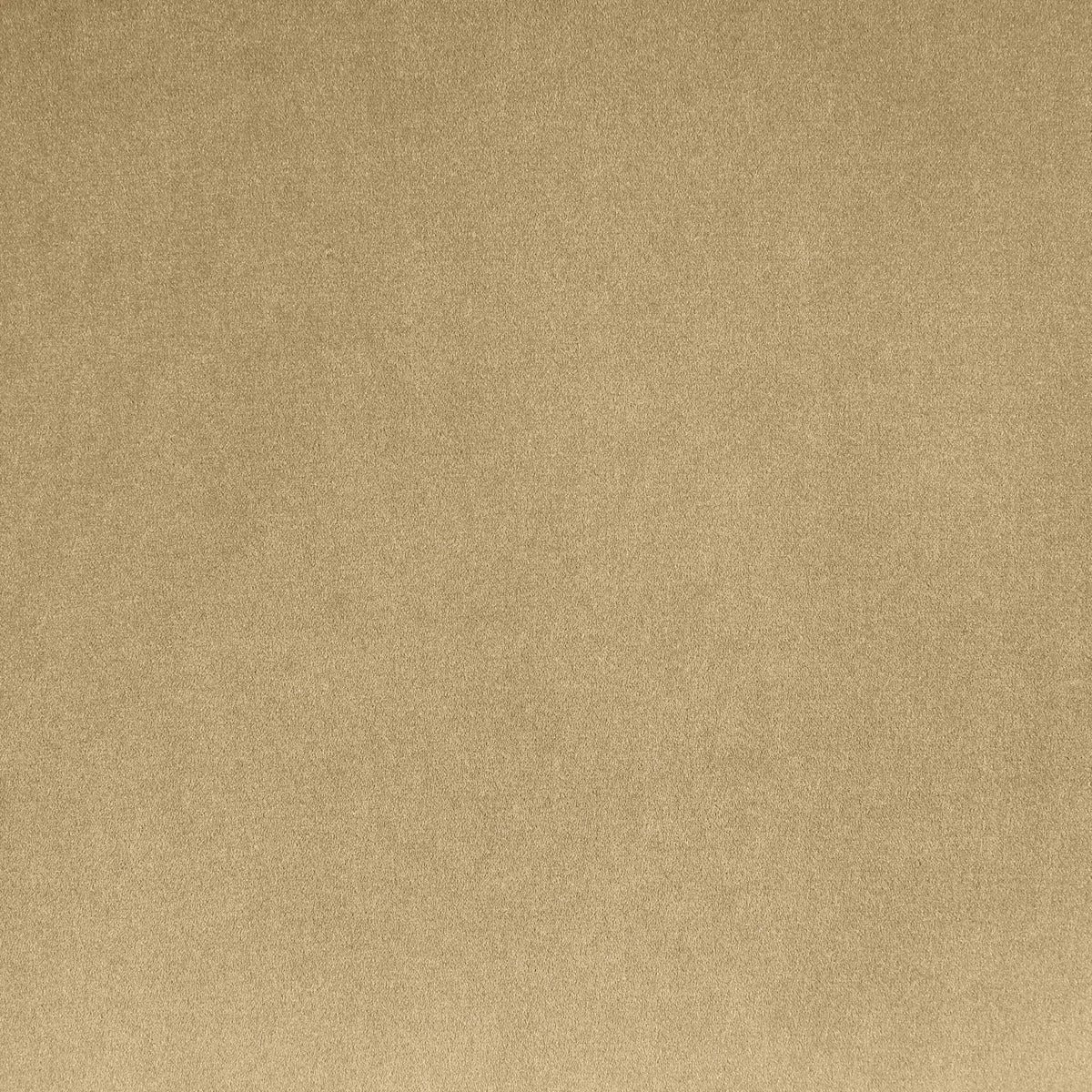 Emery - Velvet Chair