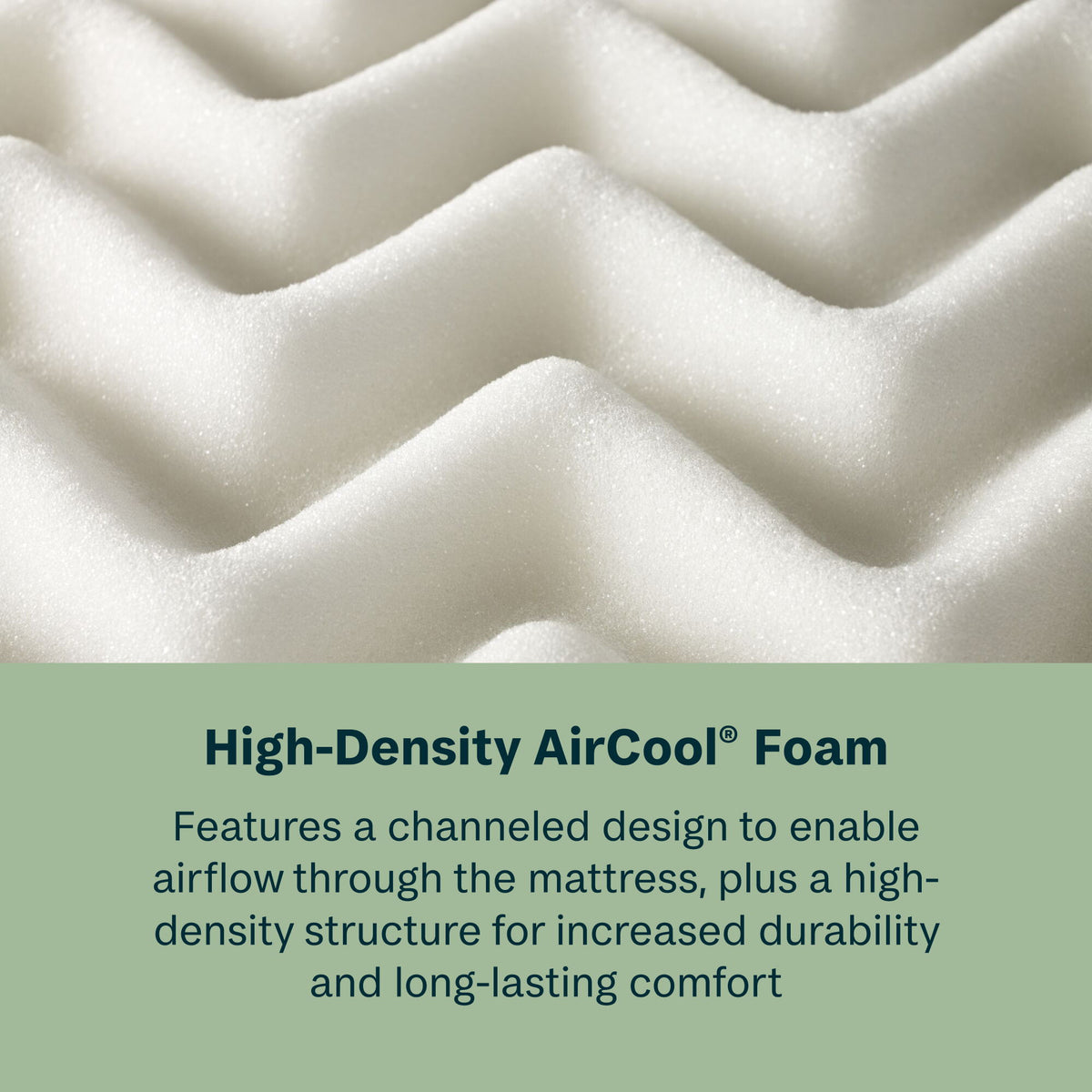 Radiant Dream - 10" Hybrid Medium Firm Mattress in a Box