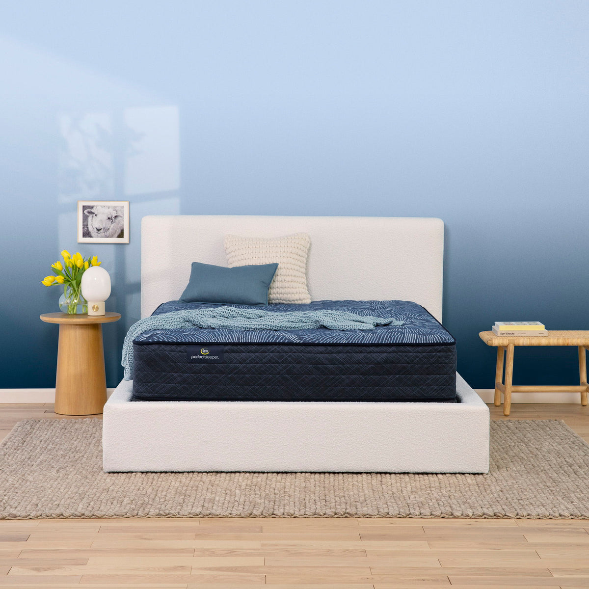 Perfect Sleeper - 12" Cobalt Calm Extra Firm Mattress