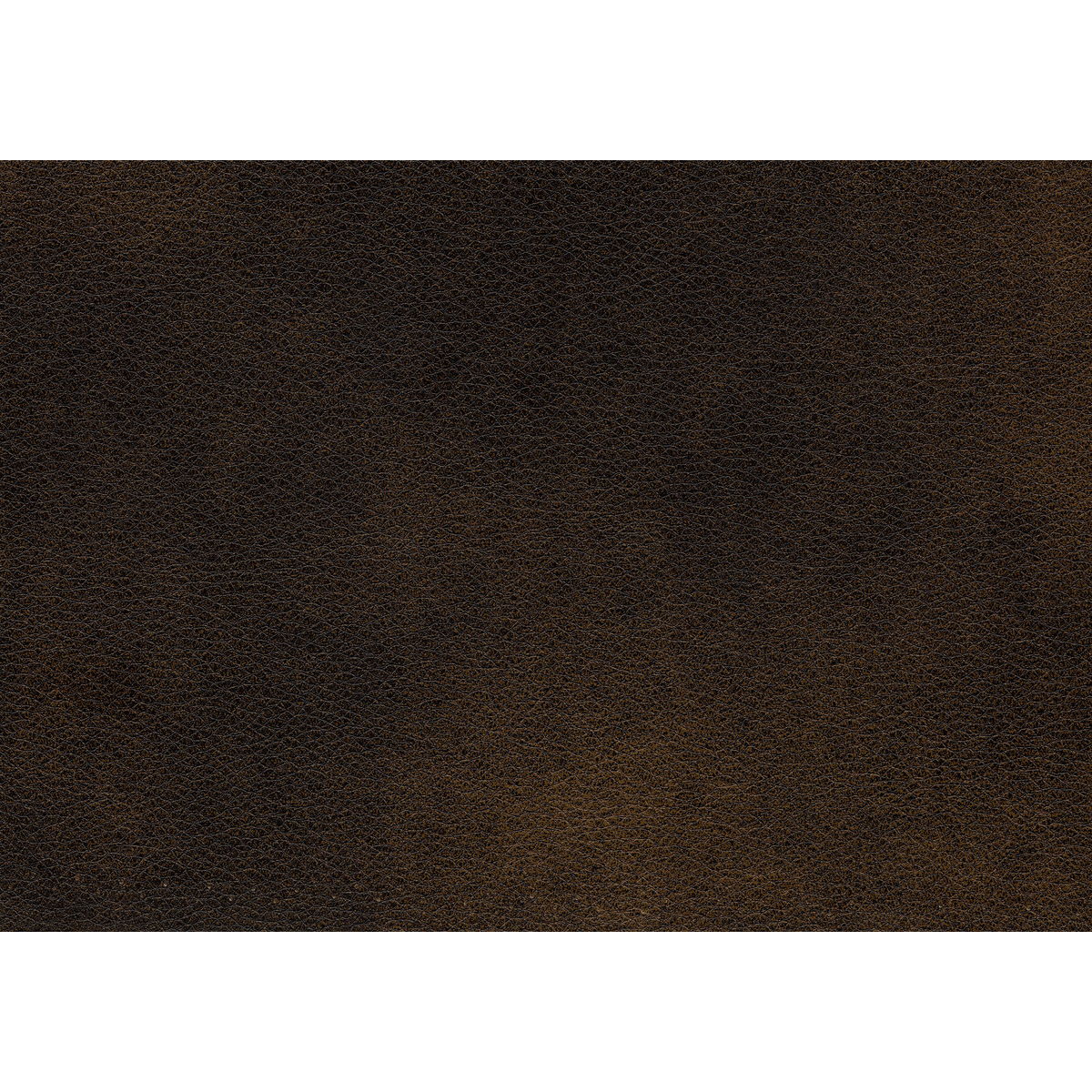 Croydon - Chair - Brown