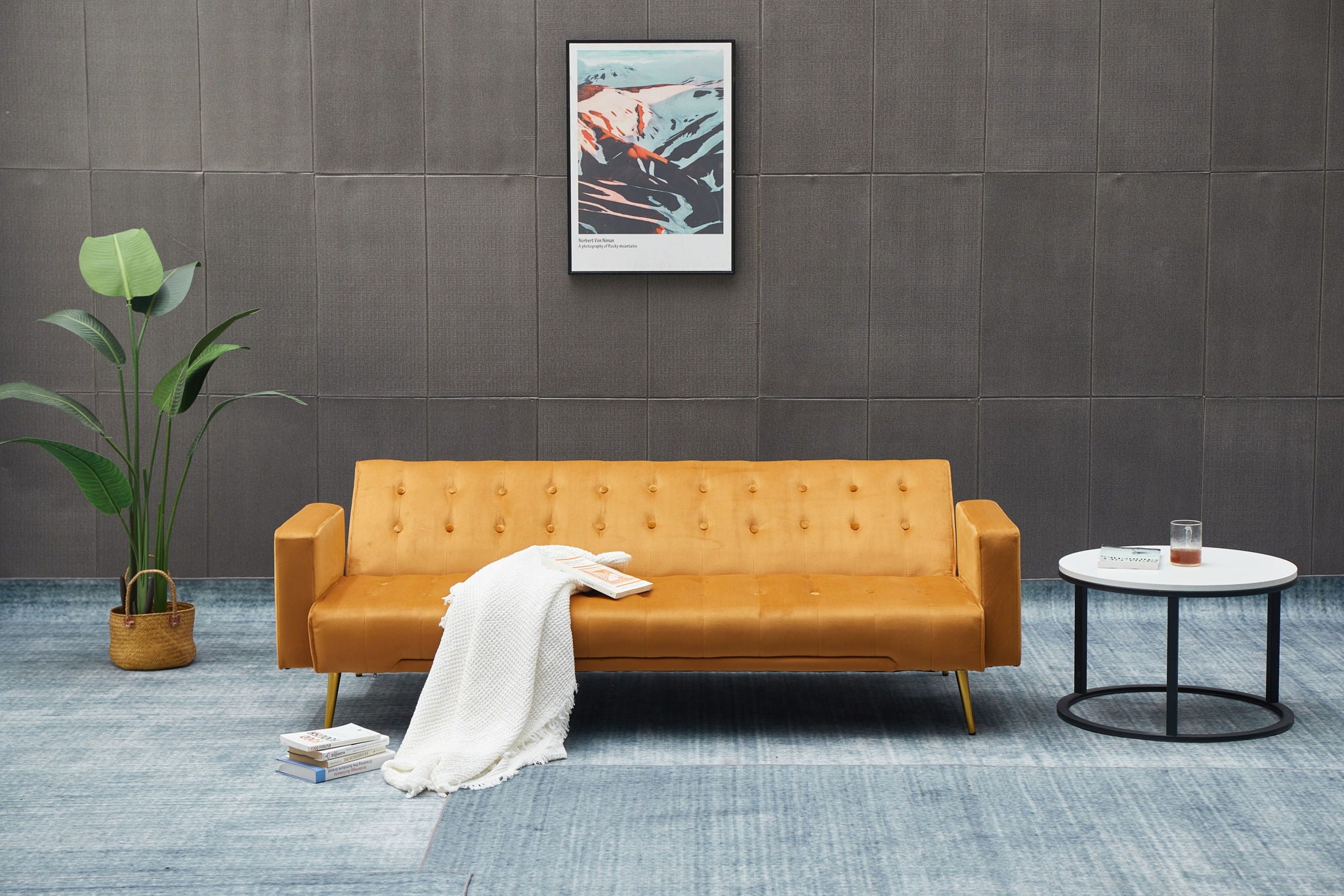 Comfort Compact Design Sofa Bed