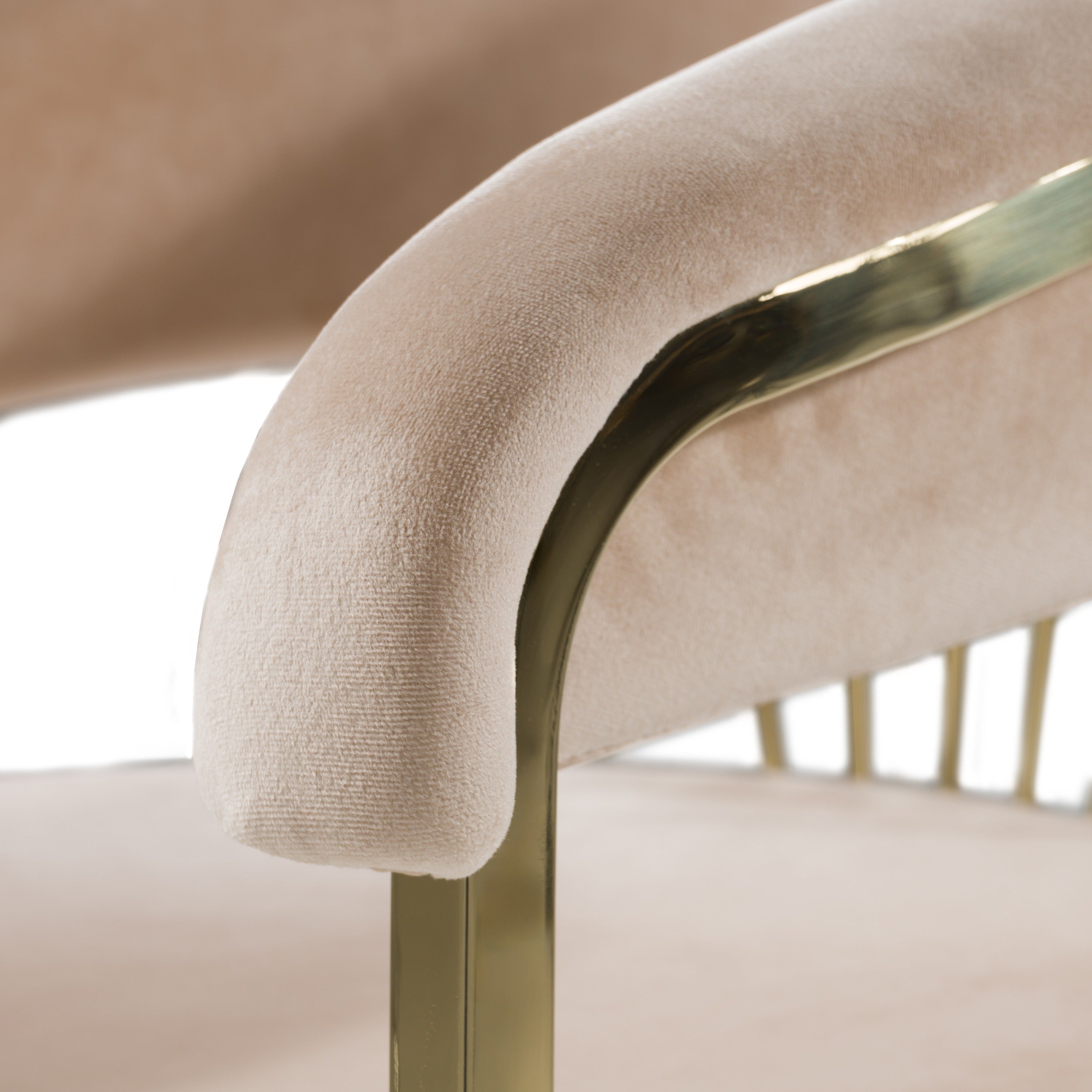 Modrest Linda - Modern Beige Velvet and Gold Dining Chair