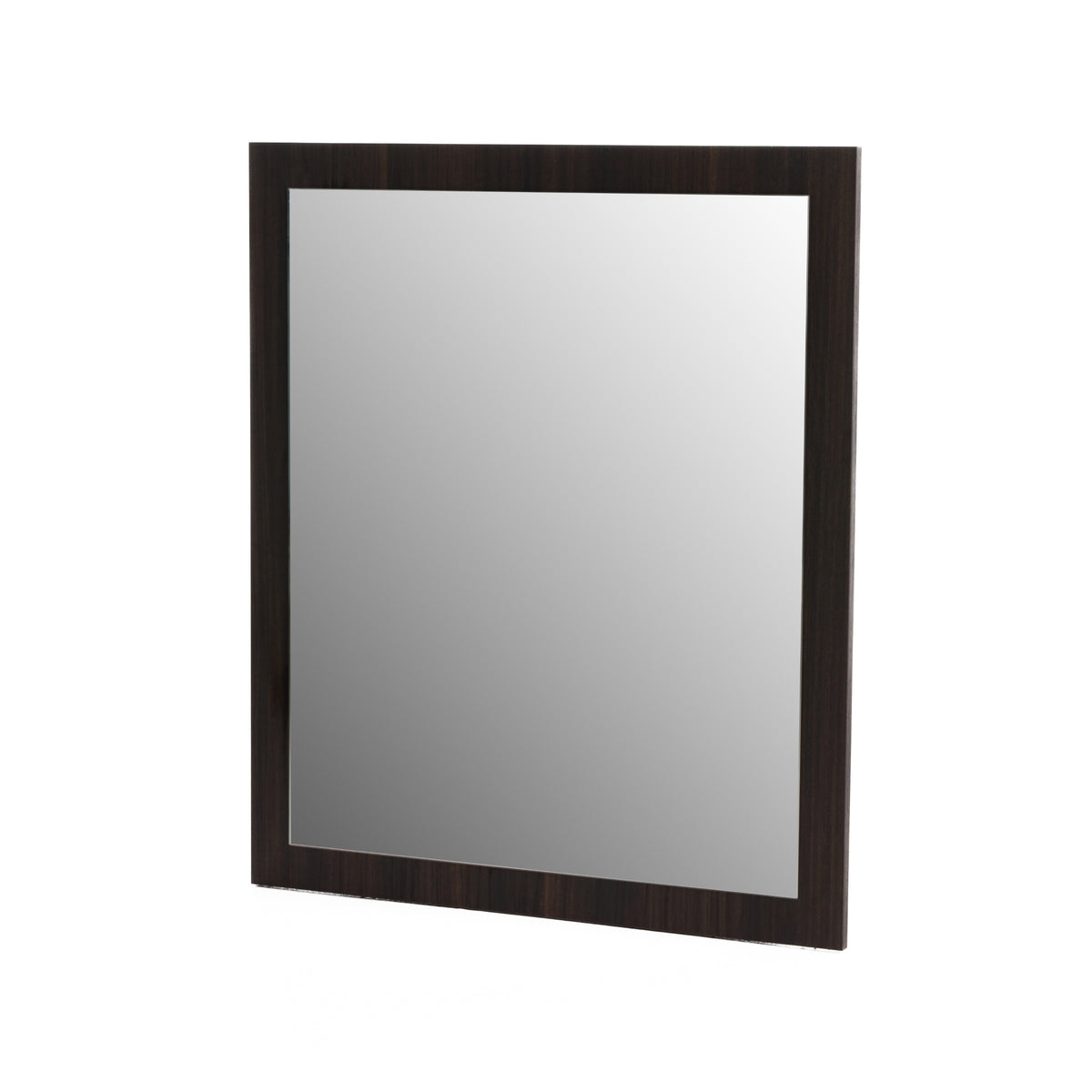 Velondra - Modern Eucalypto Mirror