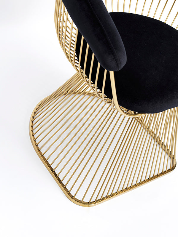 Modrest Chandler Black Velvet & Gold Dining Chair