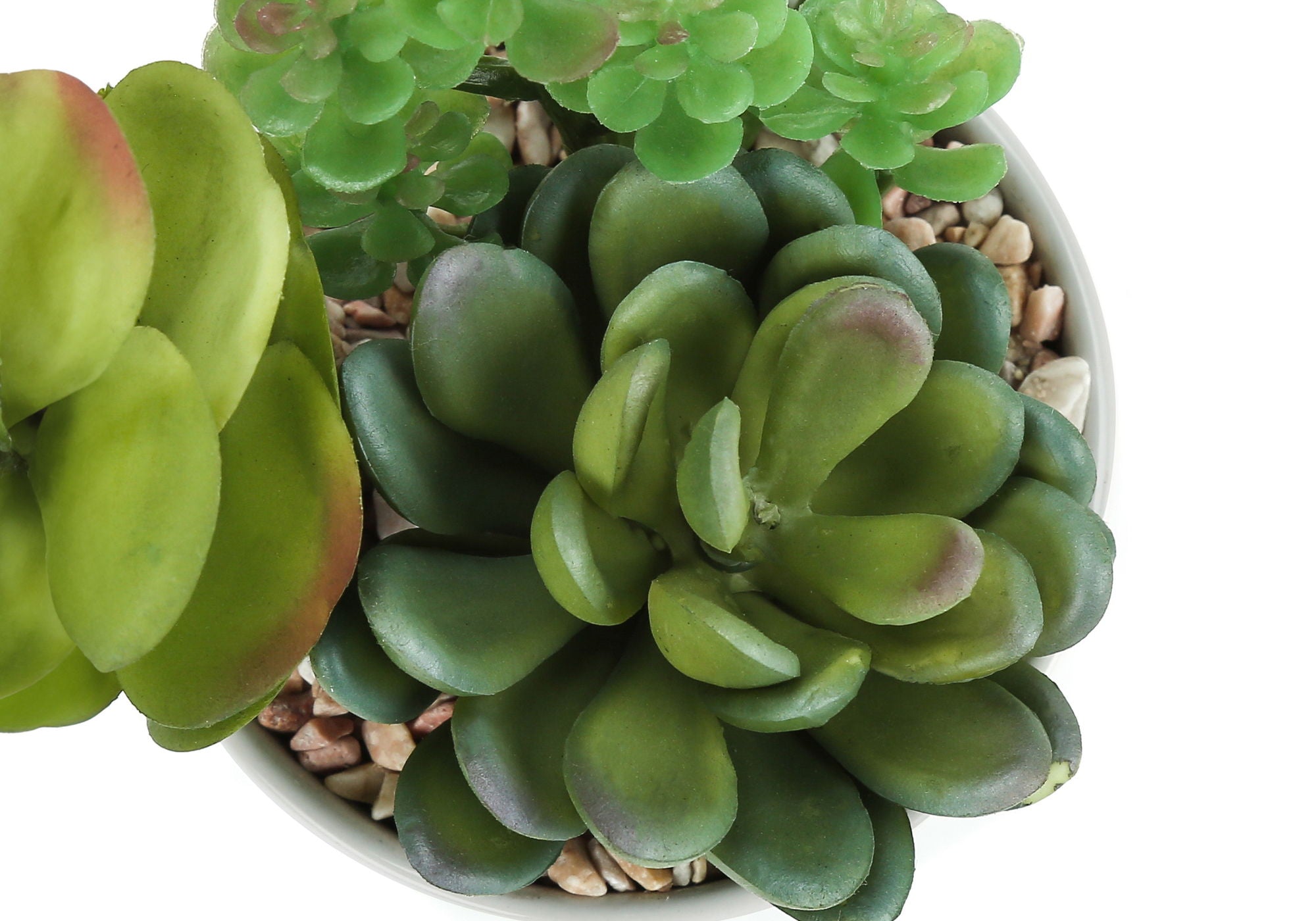 Artificial Succulent Plants (Set of 2)