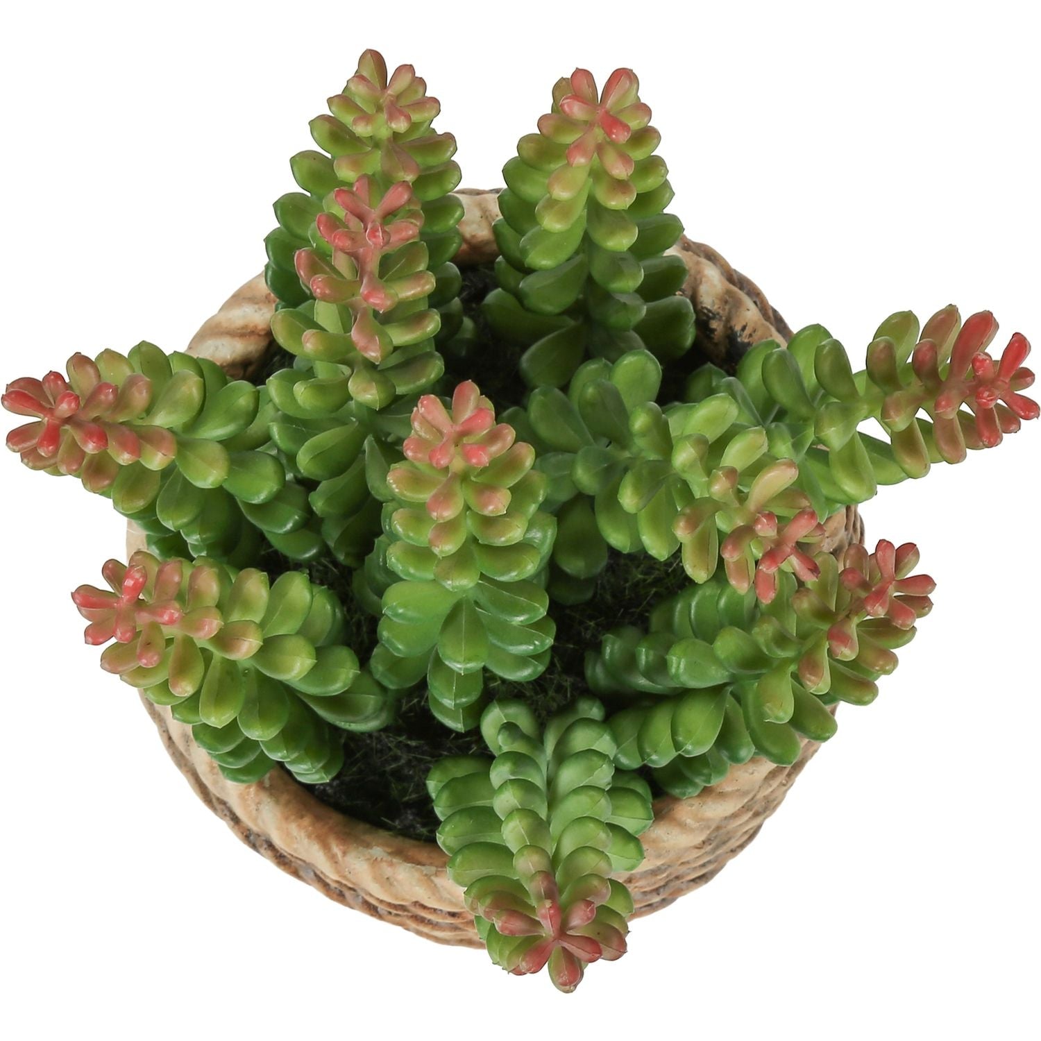 Artificial Succulent, Table Decor (Set of 2) - Green / Light Brown - Plastic