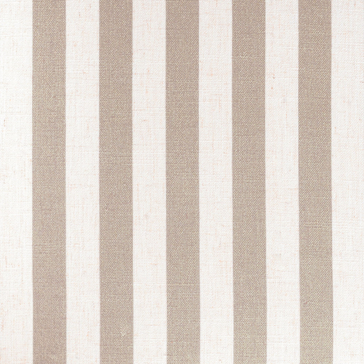 Dorine - Dining Chair
