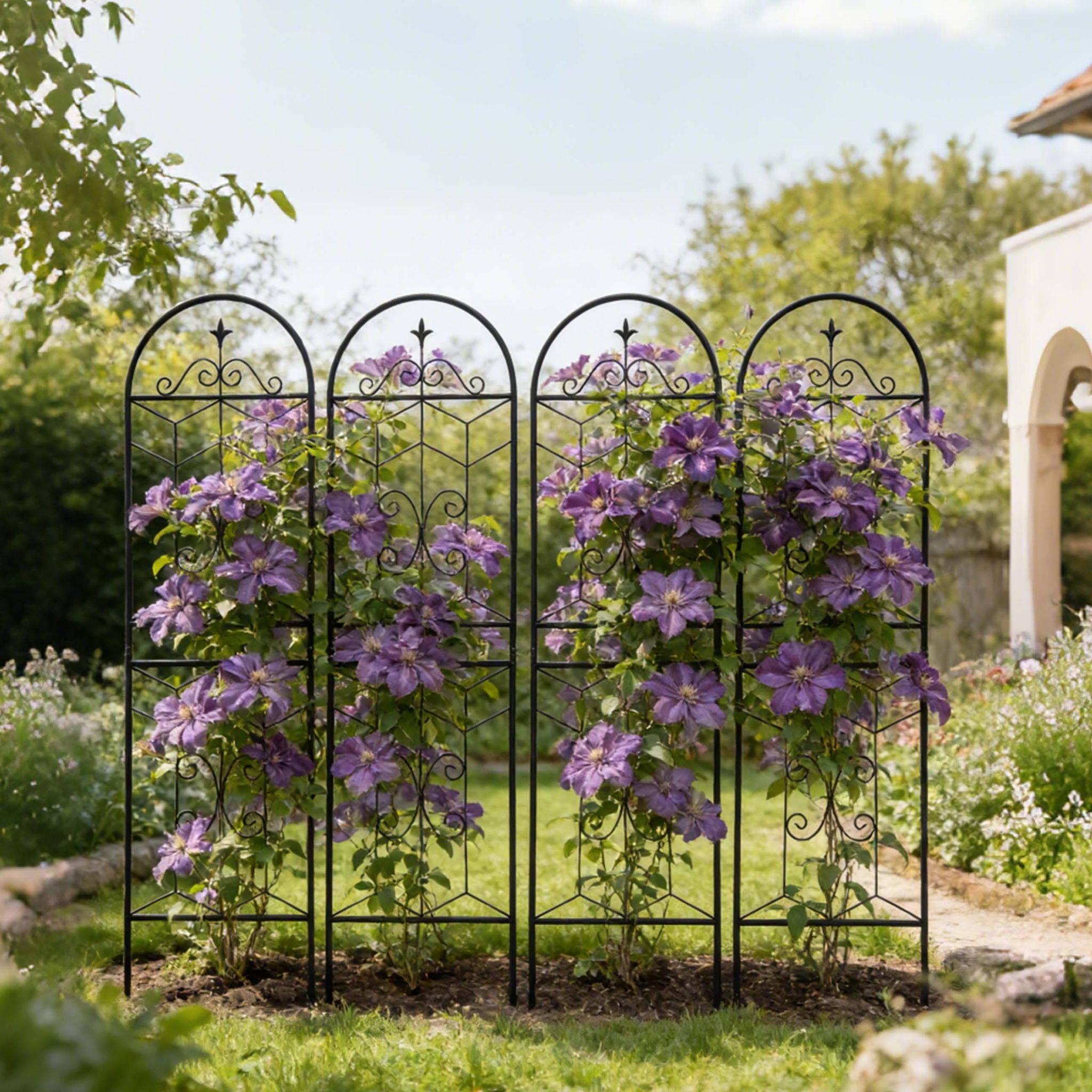 Garden Trellis, Rustproof Support For Climbing Plants