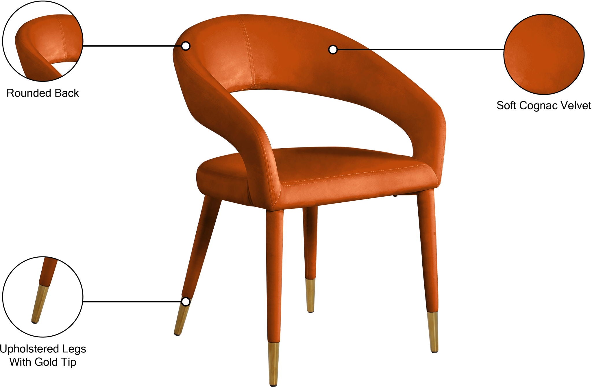 Destiny - Dining Chair