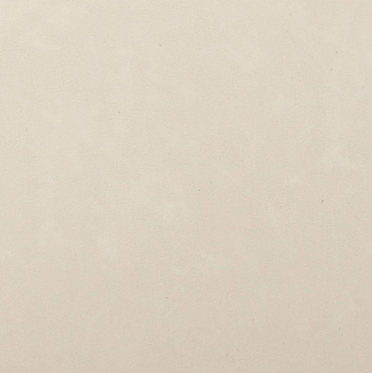 Carnation - Counter Stool
