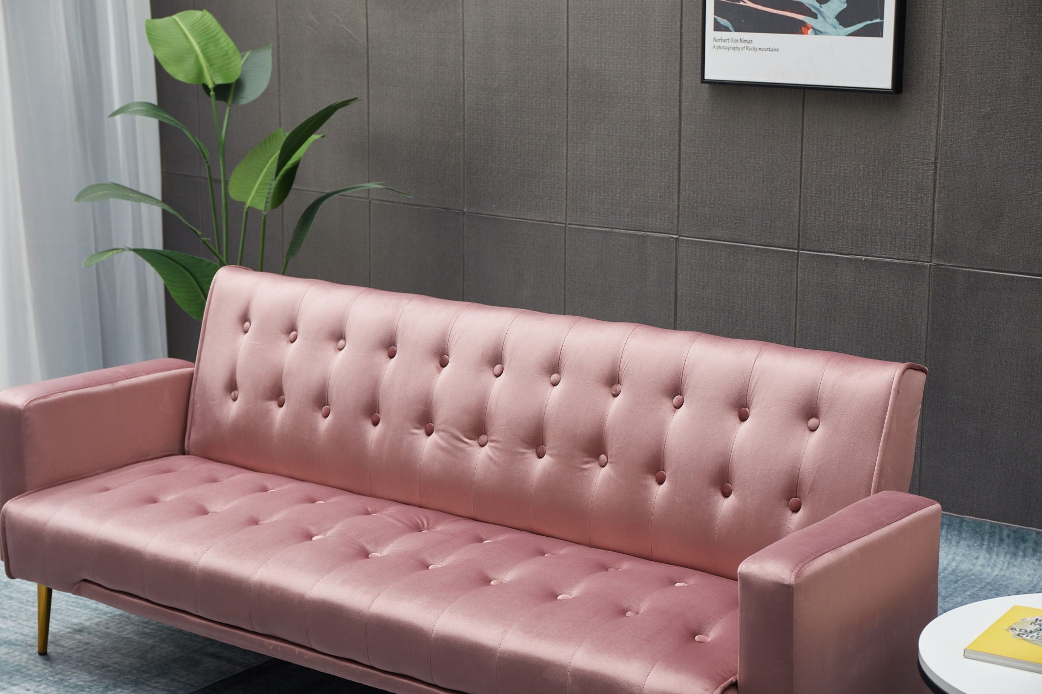 Comfort Compact Design Sofa Bed