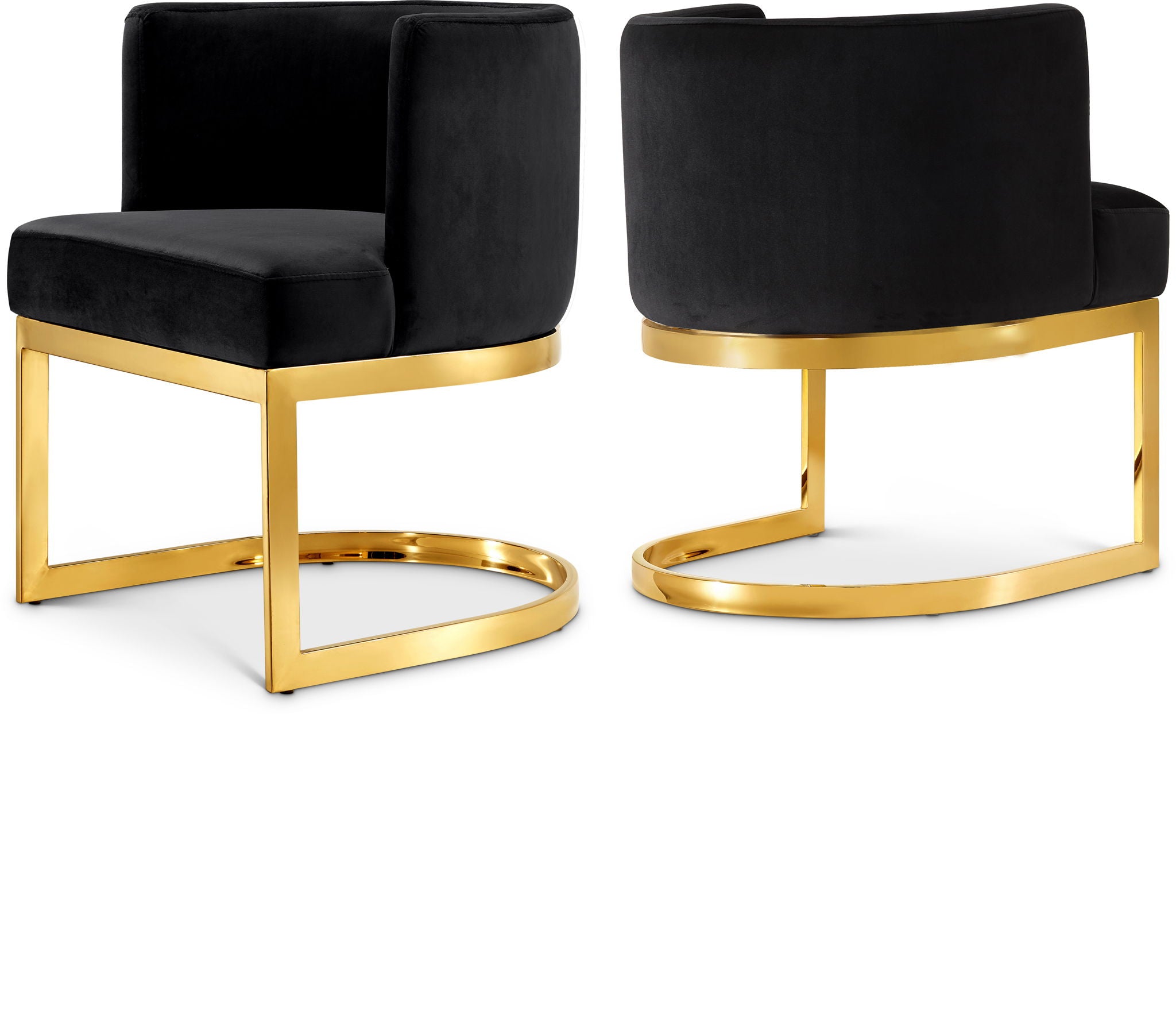 Gianna - Dining Arm Chair