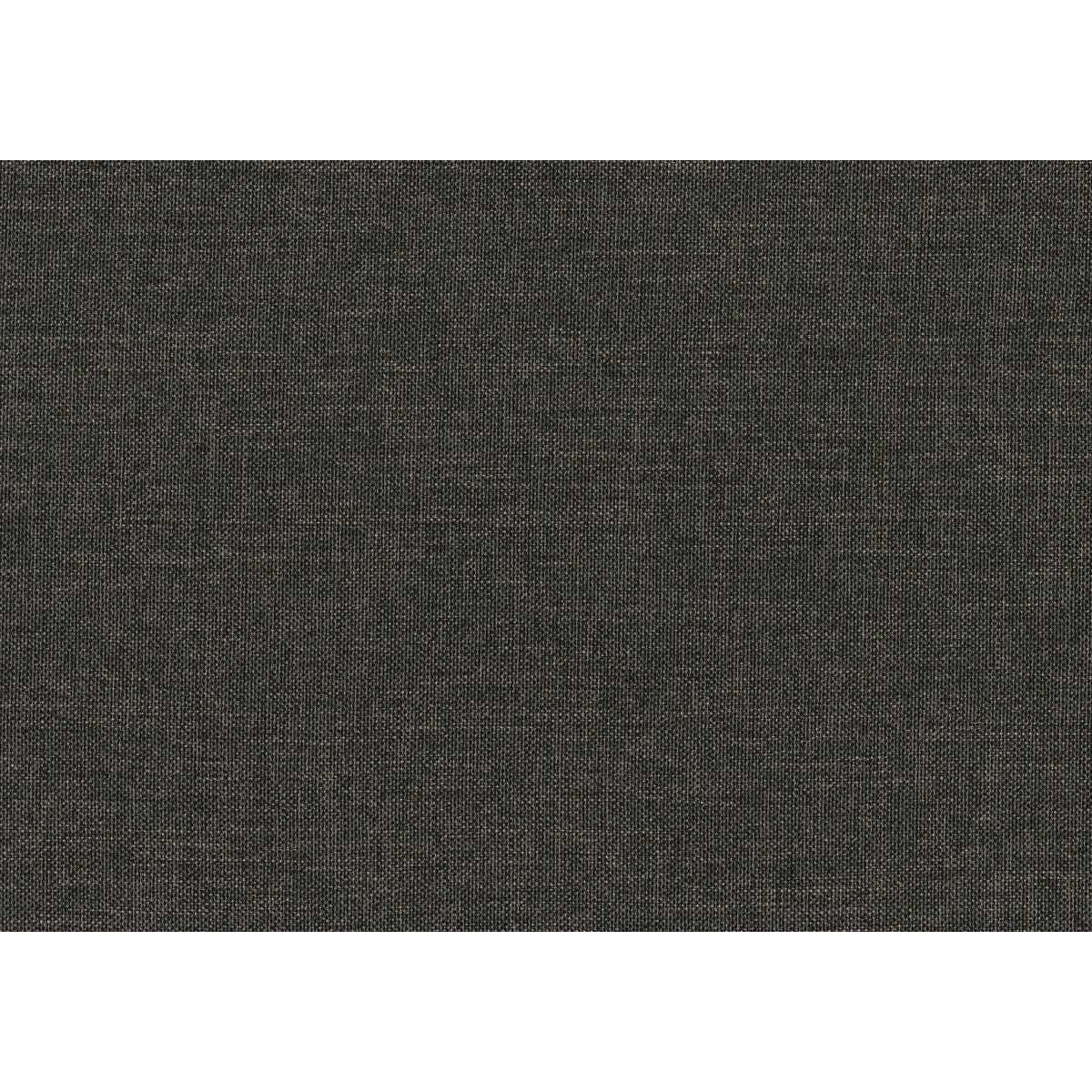 Vining - Daybed With Trundle - Dark Gray