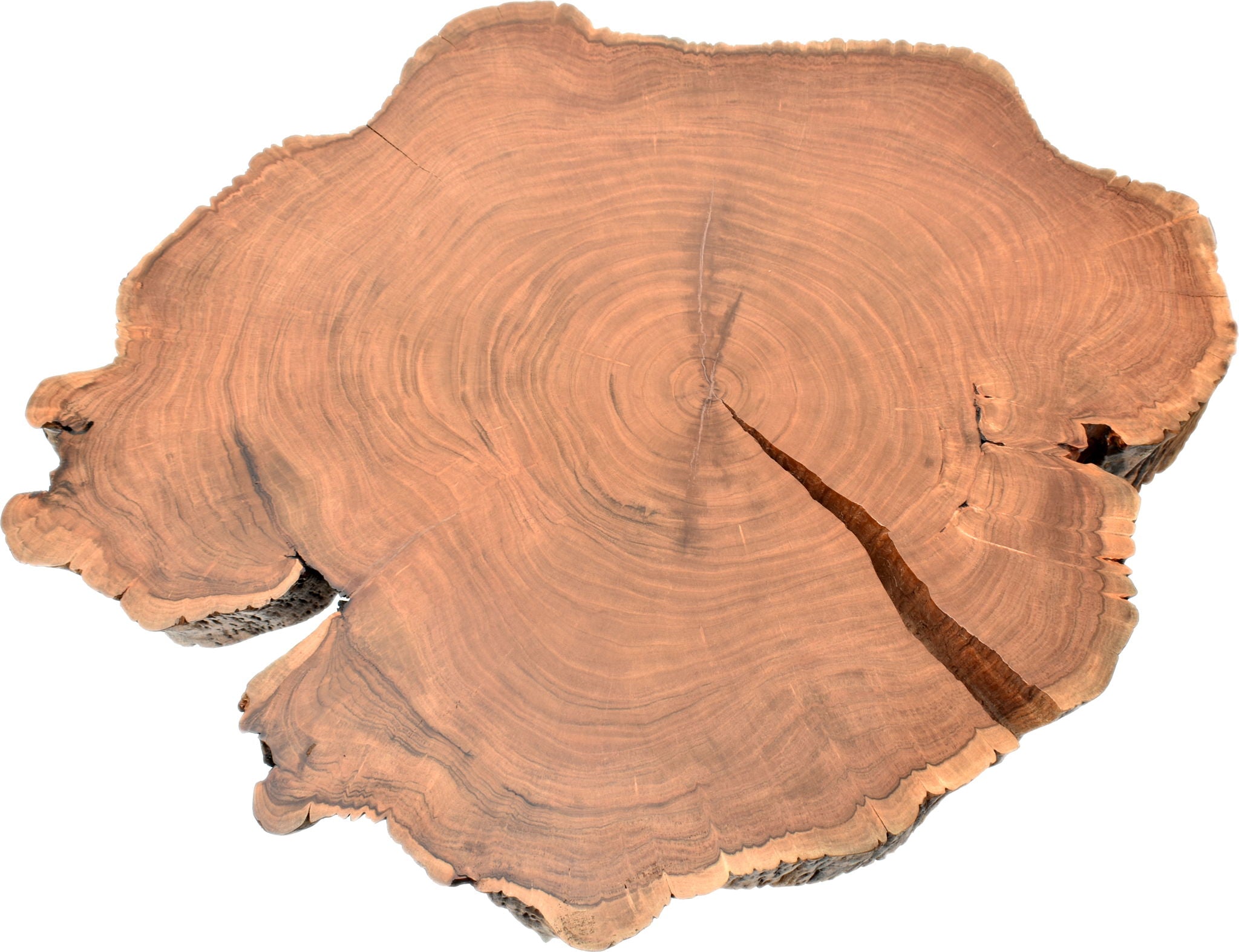 Woodland - Coffee Table - Light Brown