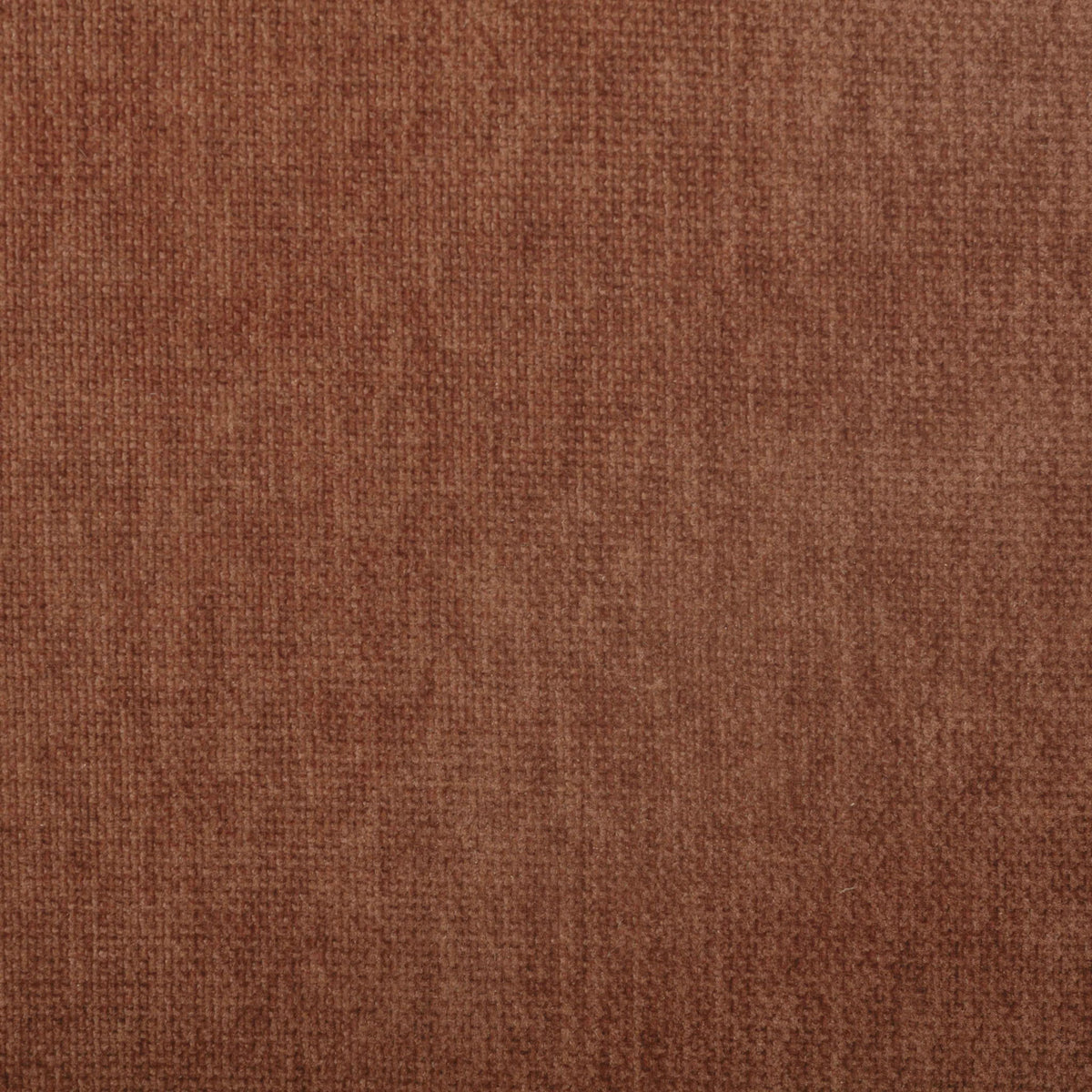 Malone - Dining Chair